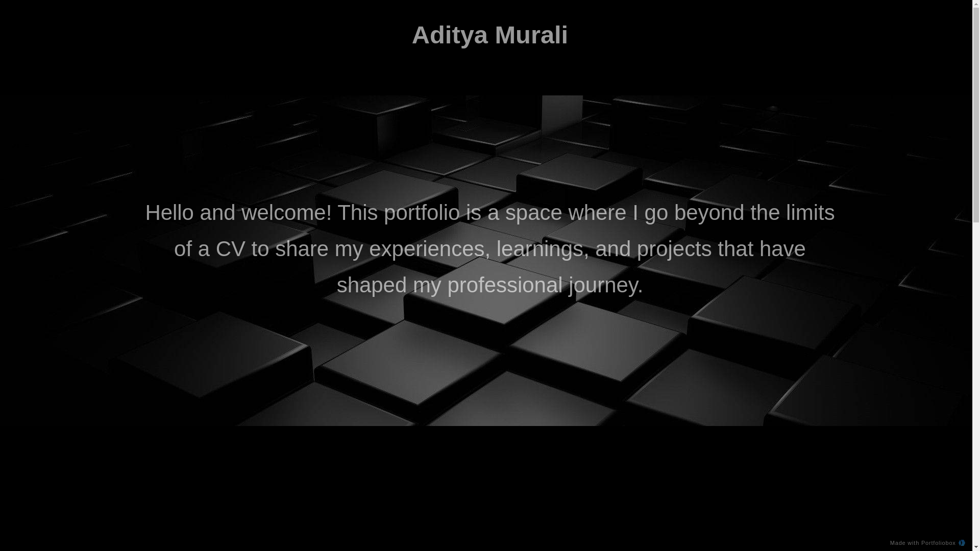 website screenshot of https://adityamurali.com/