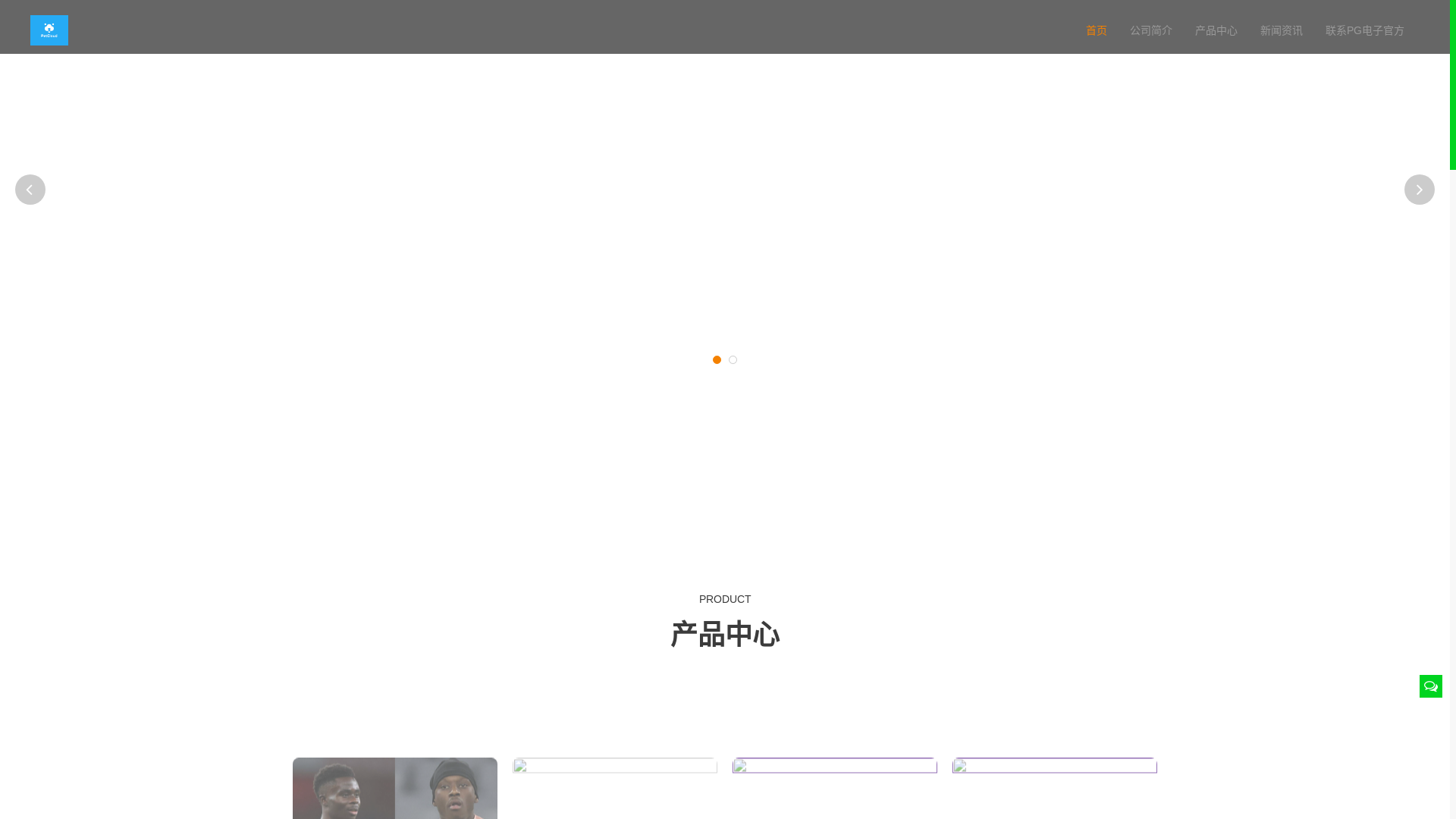 website screenshot of https://vpn-pg.com/
