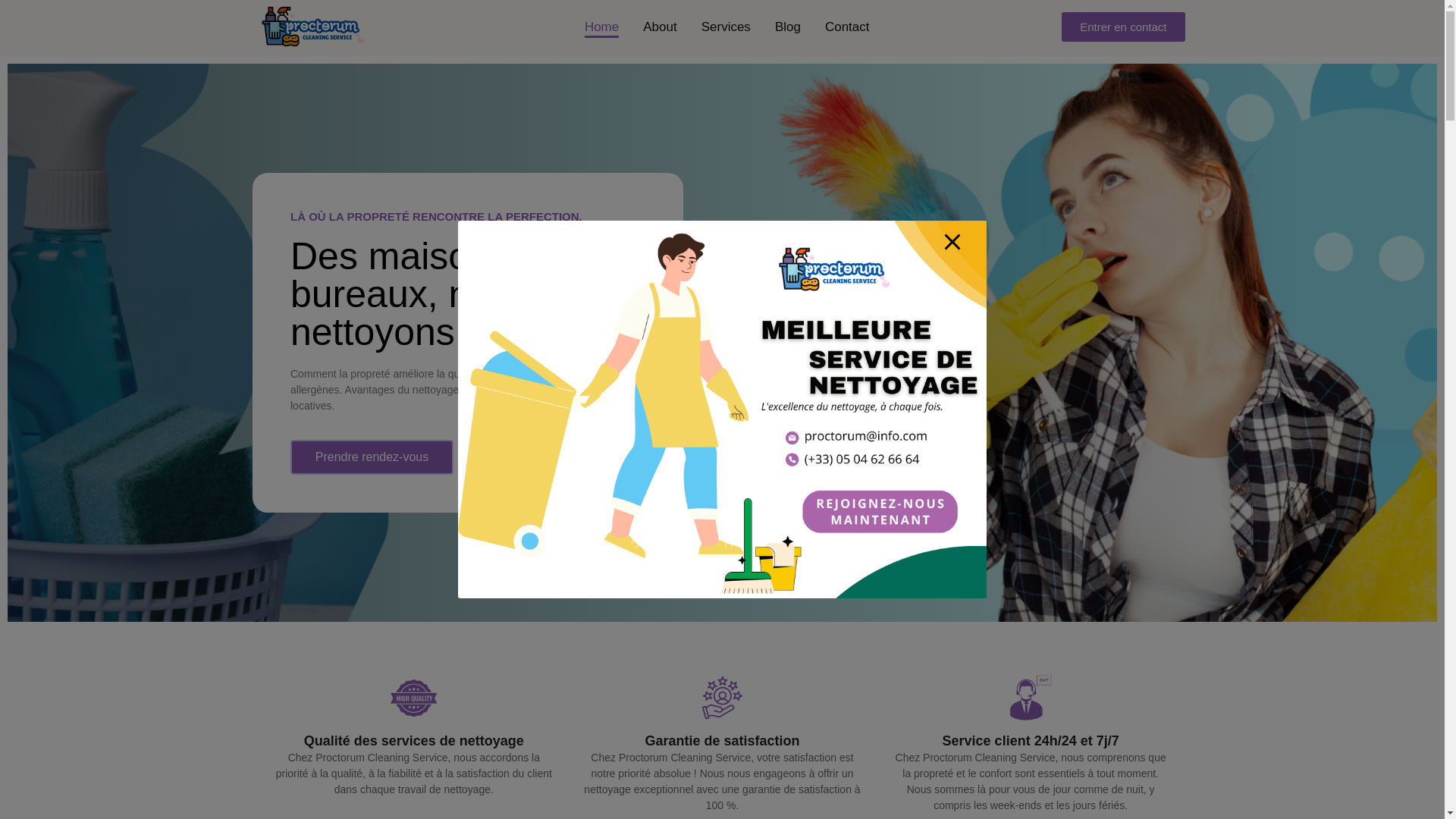 website screenshot of https://qualcleanineu.com/