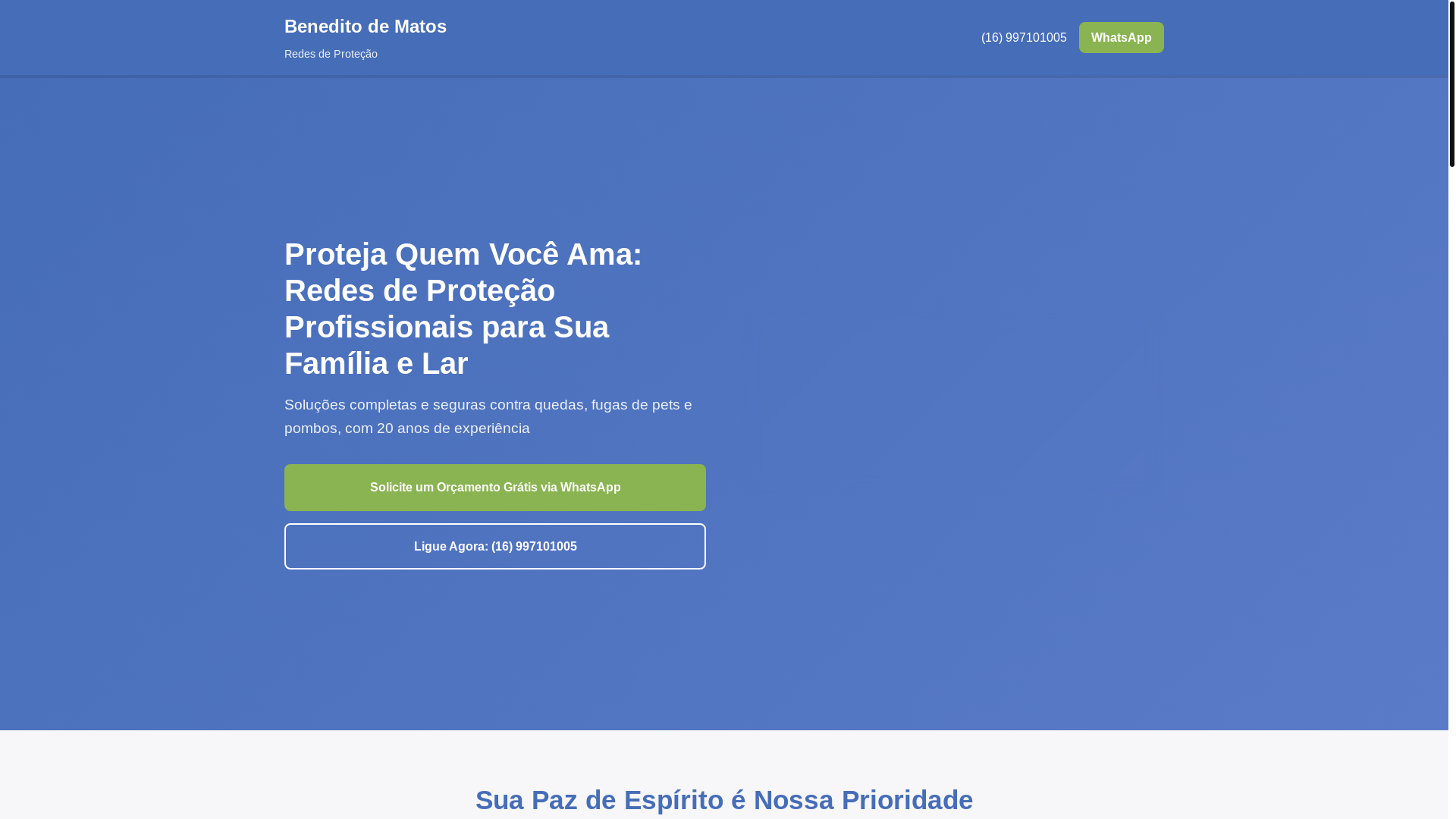 website screenshot of https://redesdeprotecao.shop/