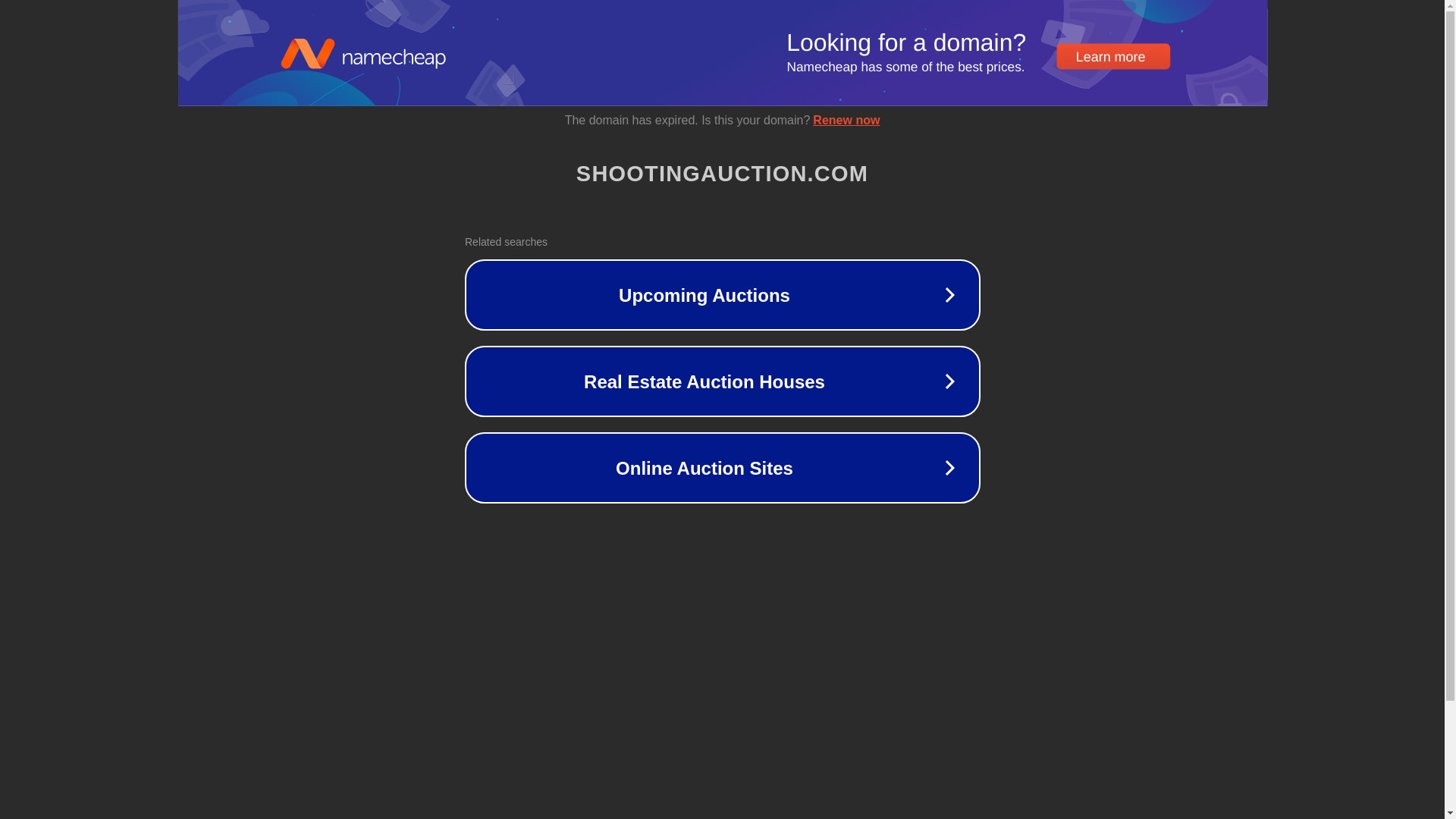 website screenshot of https://shootingauction.com/