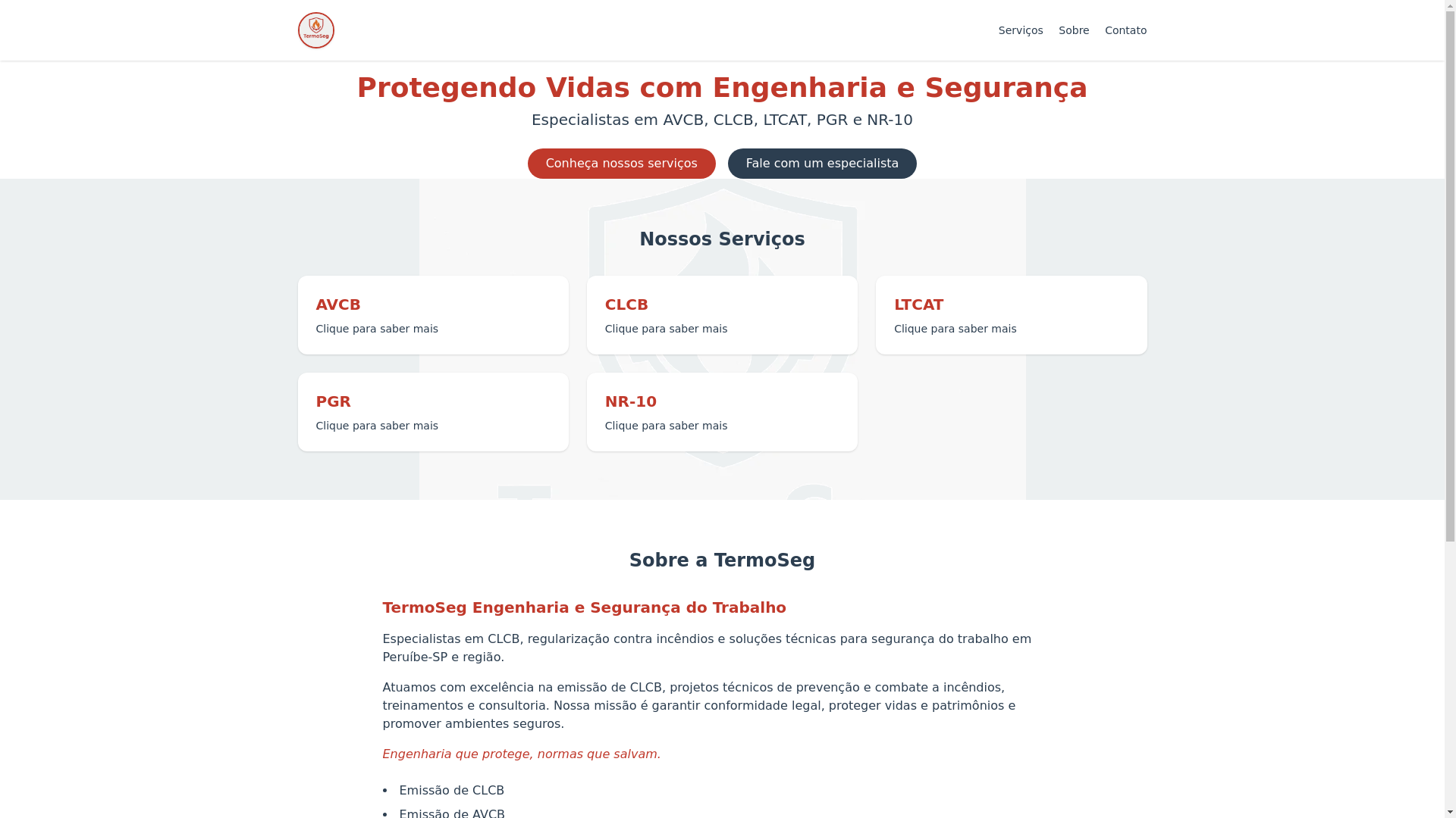 website screenshot of https://termoseg.com.br/