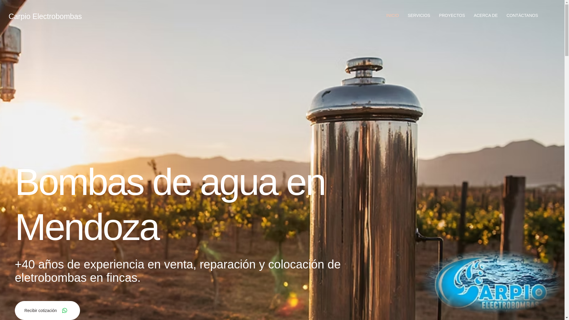 website screenshot of https://carpiobombas.com/