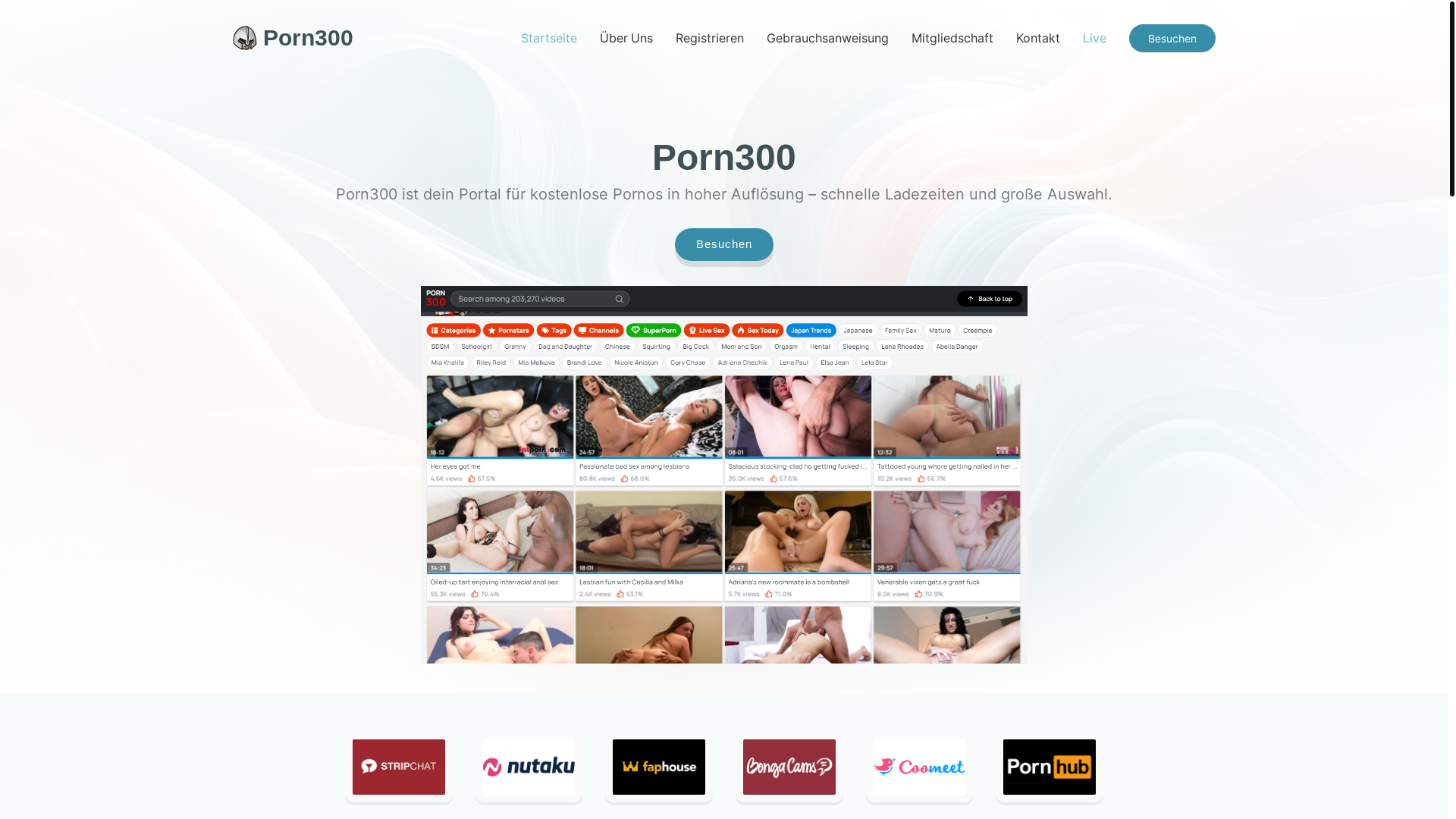 website screenshot of https://porn300-german.com/