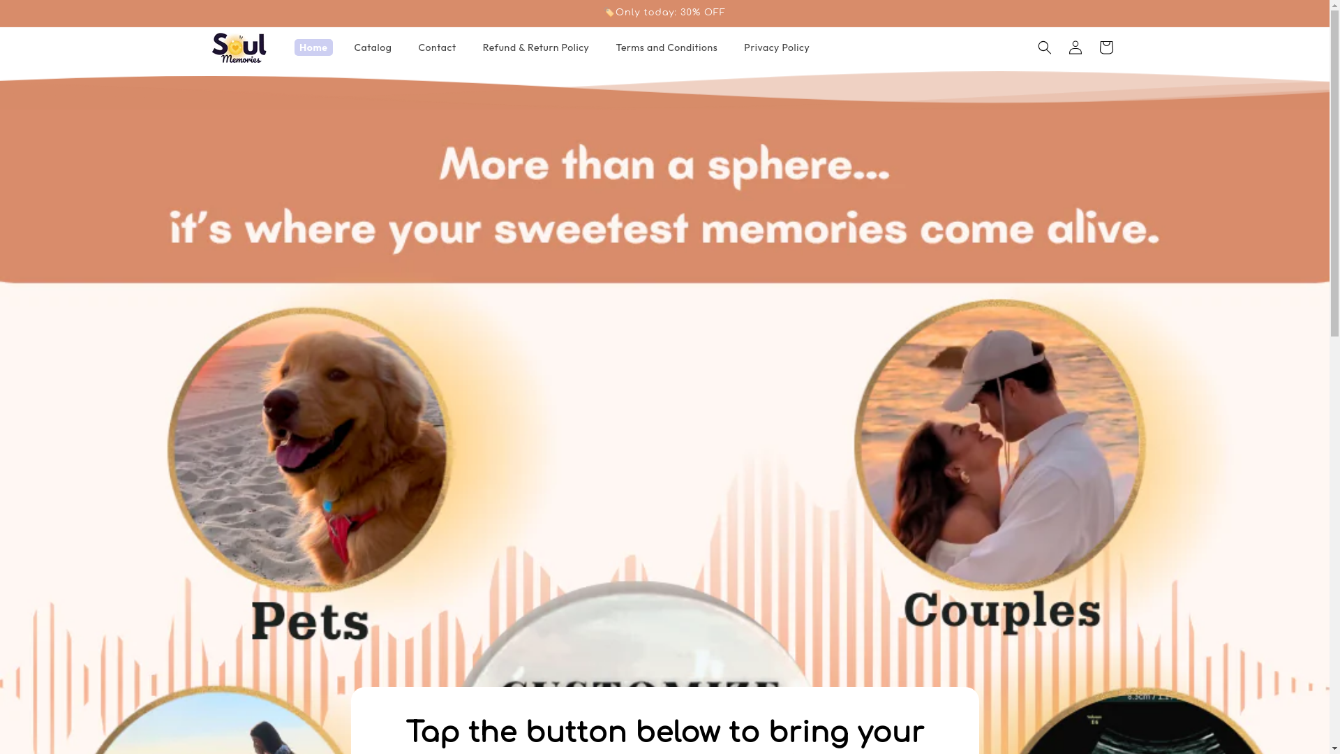 website screenshot of https://soul-memories.store/