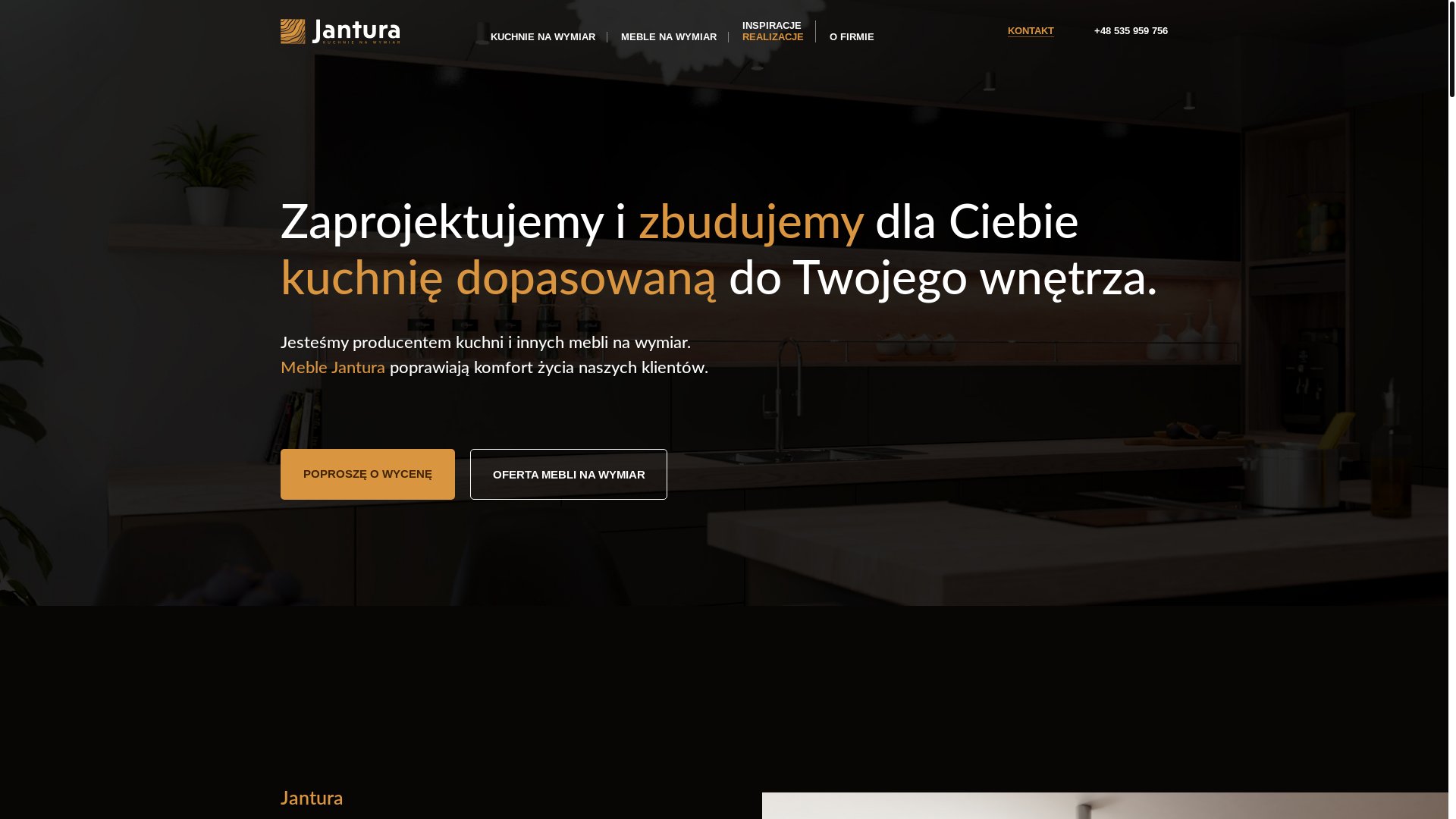 website screenshot of https://dameble.pl/