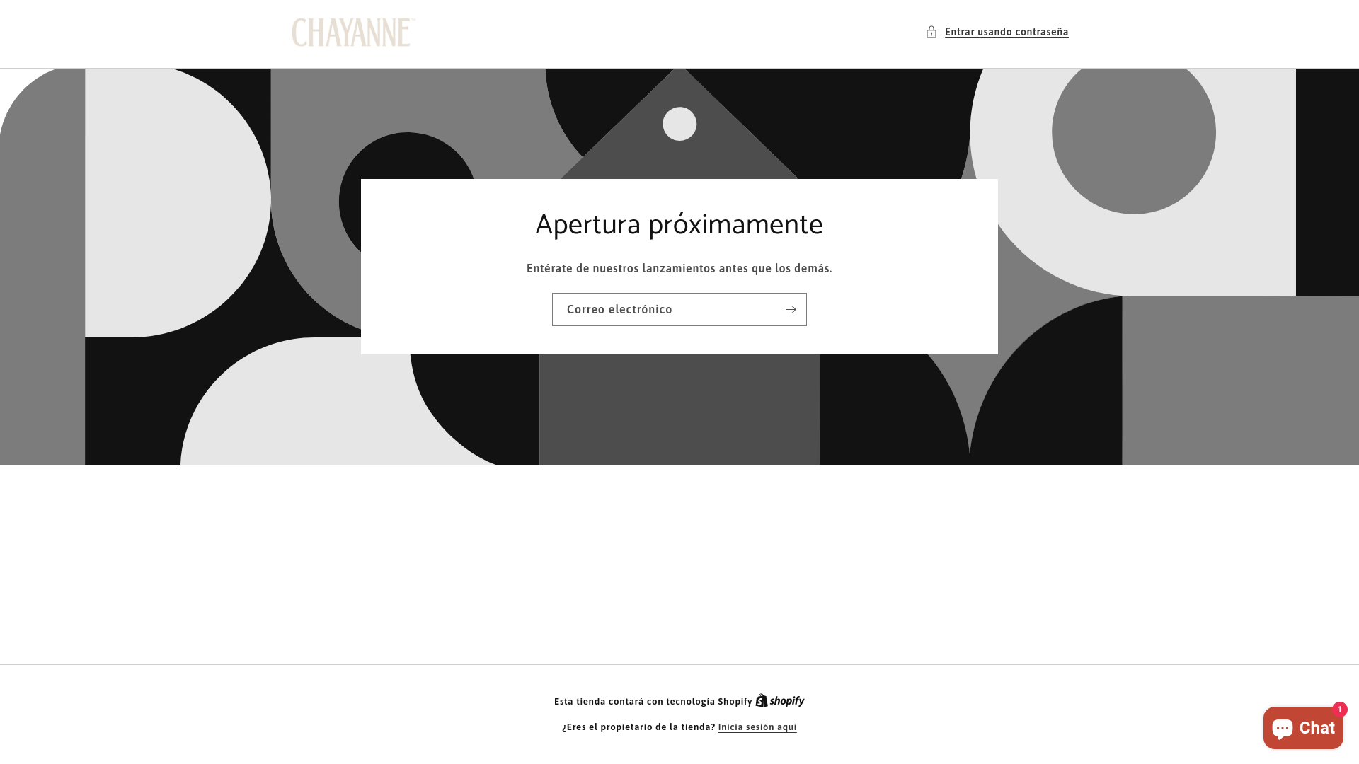 website screenshot of https://chayannetiendaoficial.com/