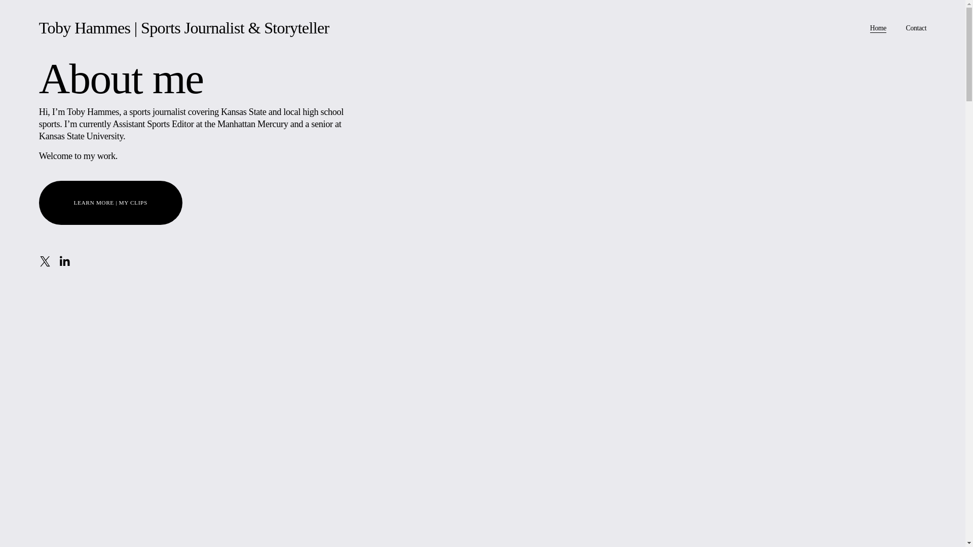 website screenshot of https://tobyhammes.com/