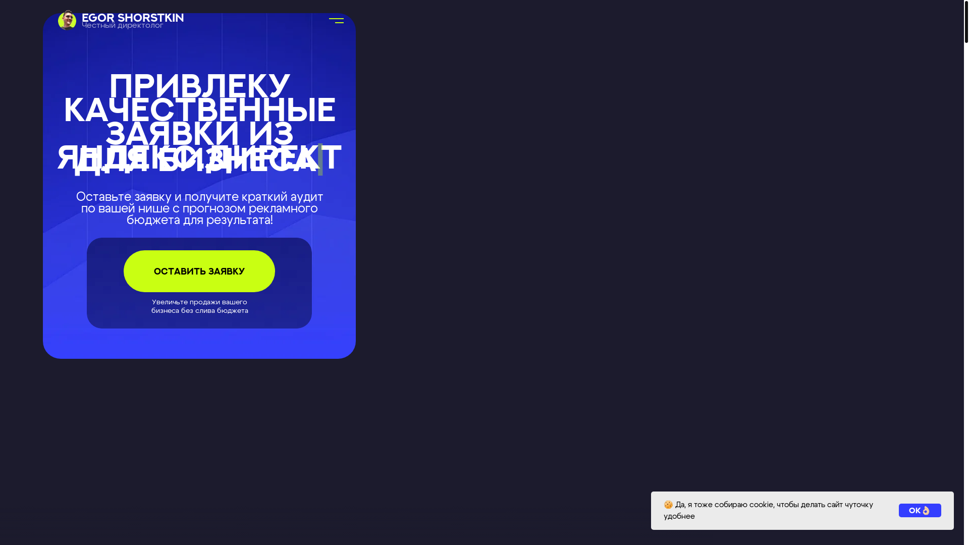 website screenshot of https://egordirect.ru/