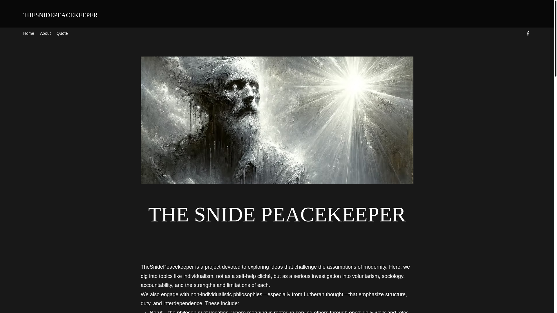 website screenshot of https://snidepeacekeeper.com/