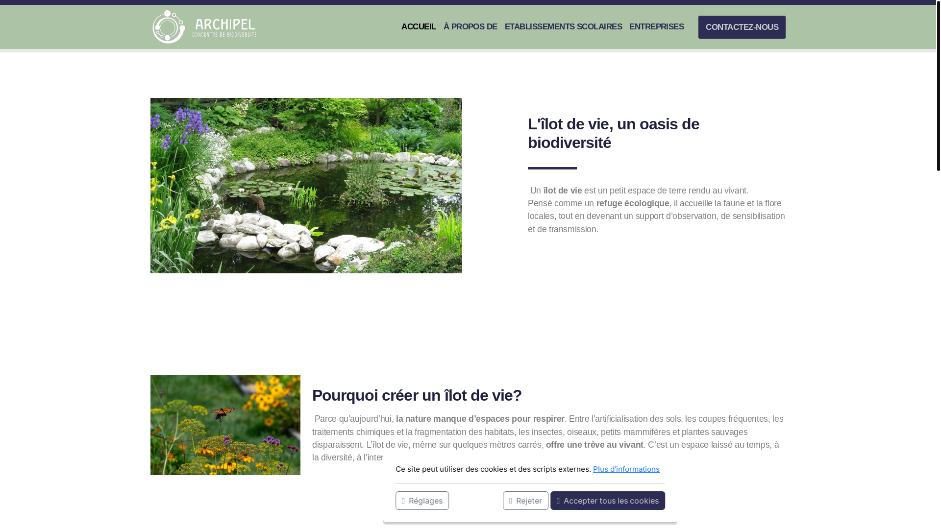 website screenshot of https://ilotsdevie.com/