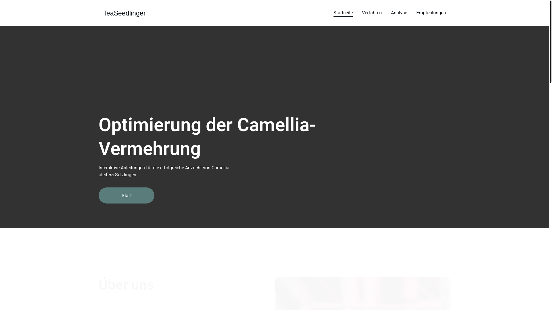 website screenshot of https://teaseedlinger.art/