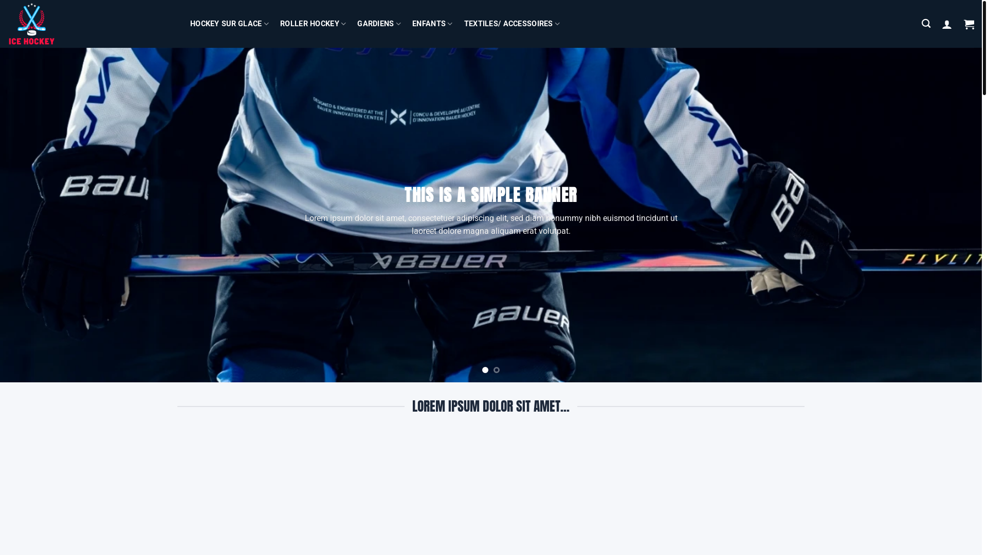 website screenshot of https://hockeysurglaceclub.com/