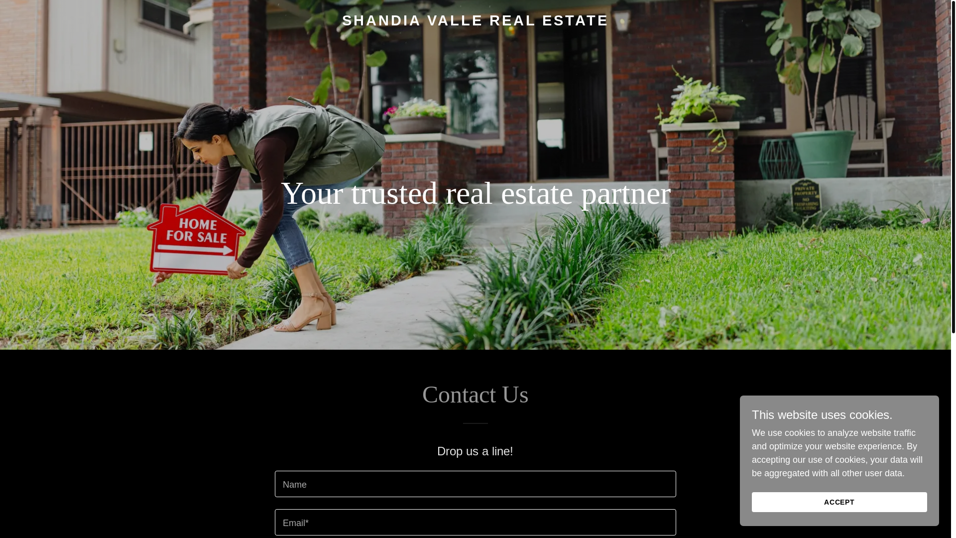 website screenshot of https://shandiavalle.com/