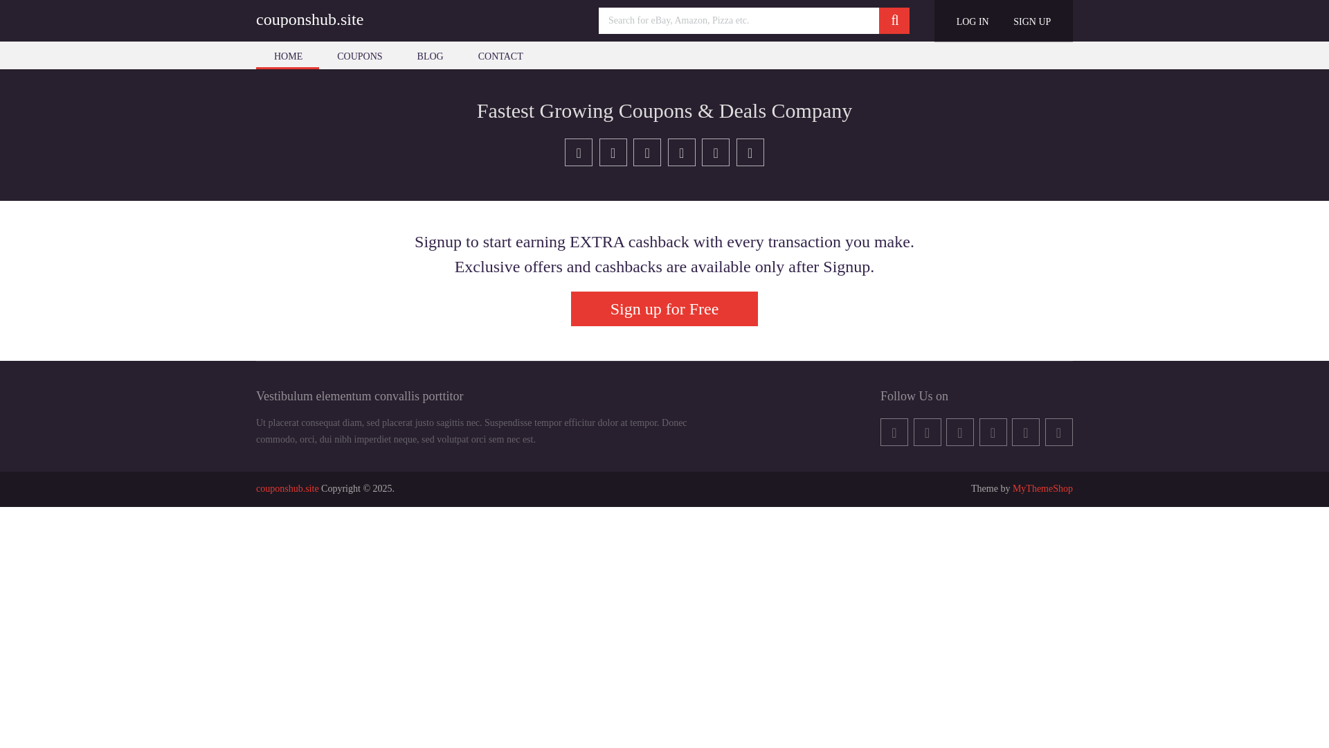 website screenshot of https://couponshub.site/