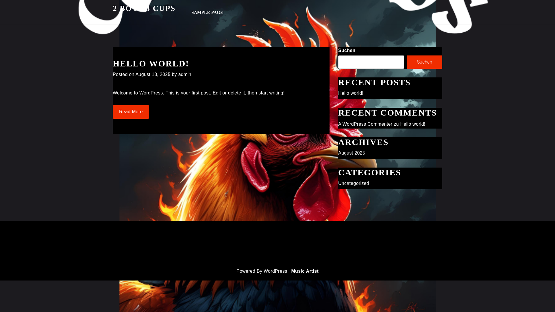 website screenshot of https://2boys3cups.de/
