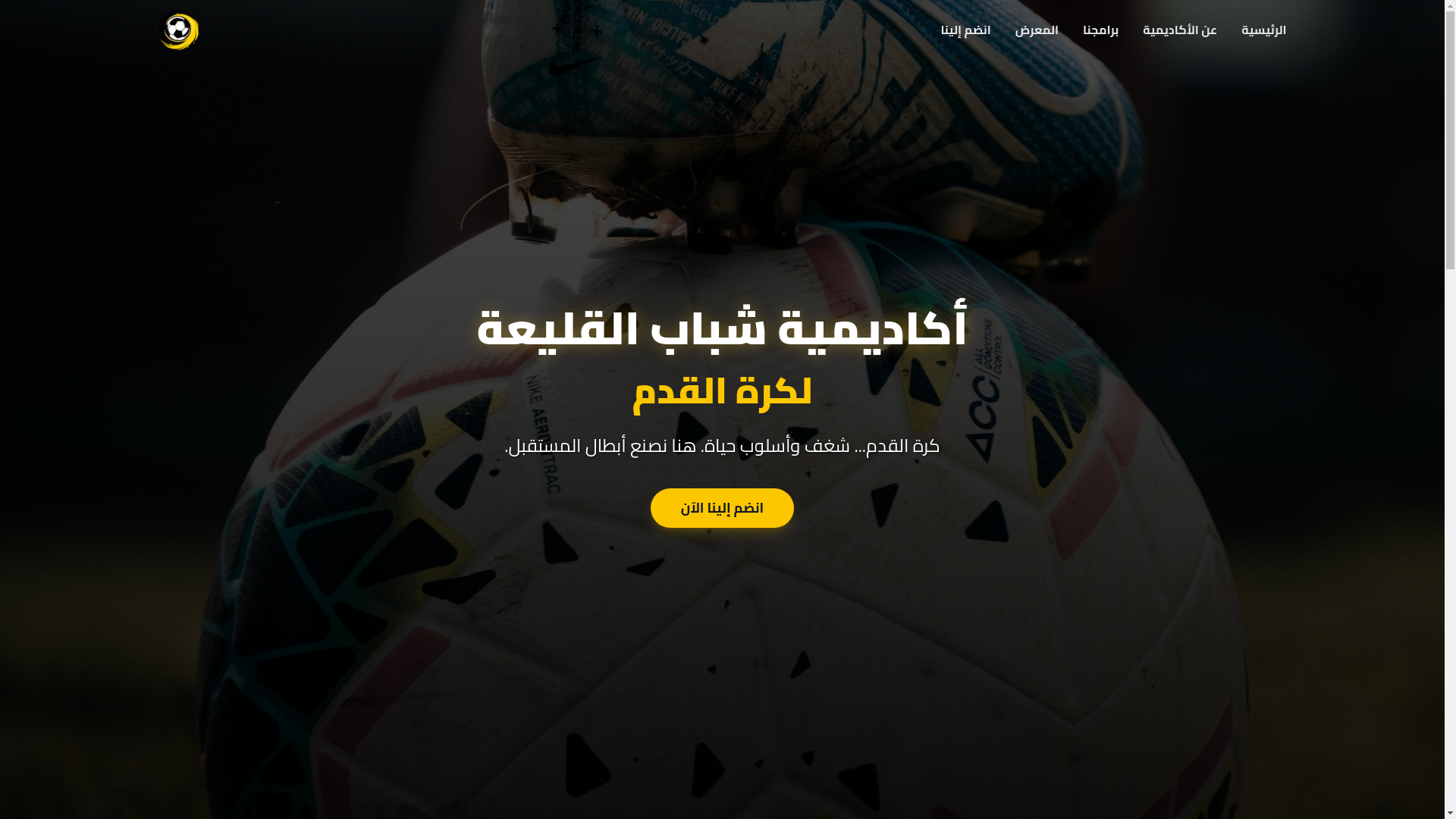 website screenshot of https://chababacademyfootball.com/