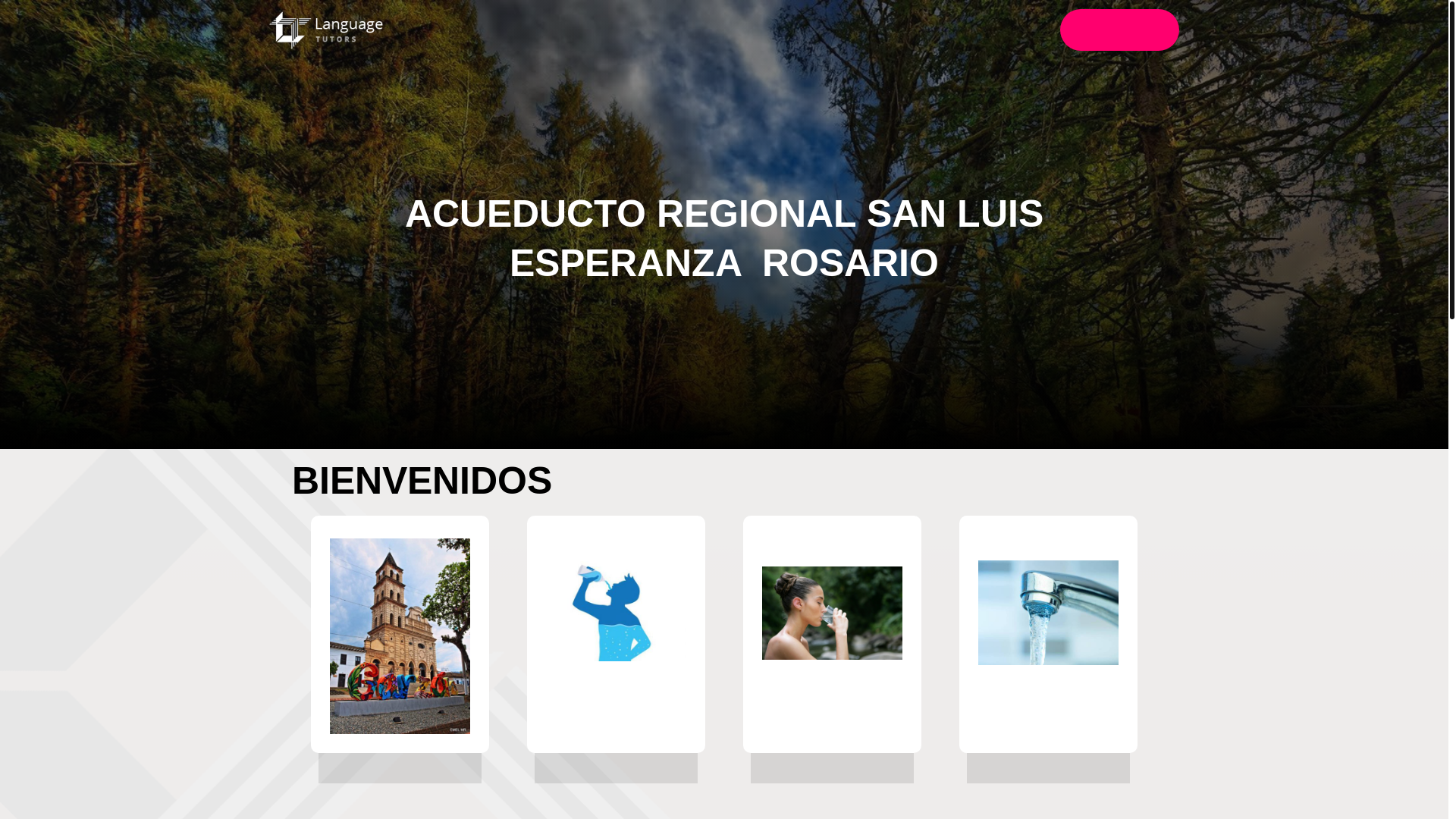 website screenshot of https://acueductoregionalsanluis.com/