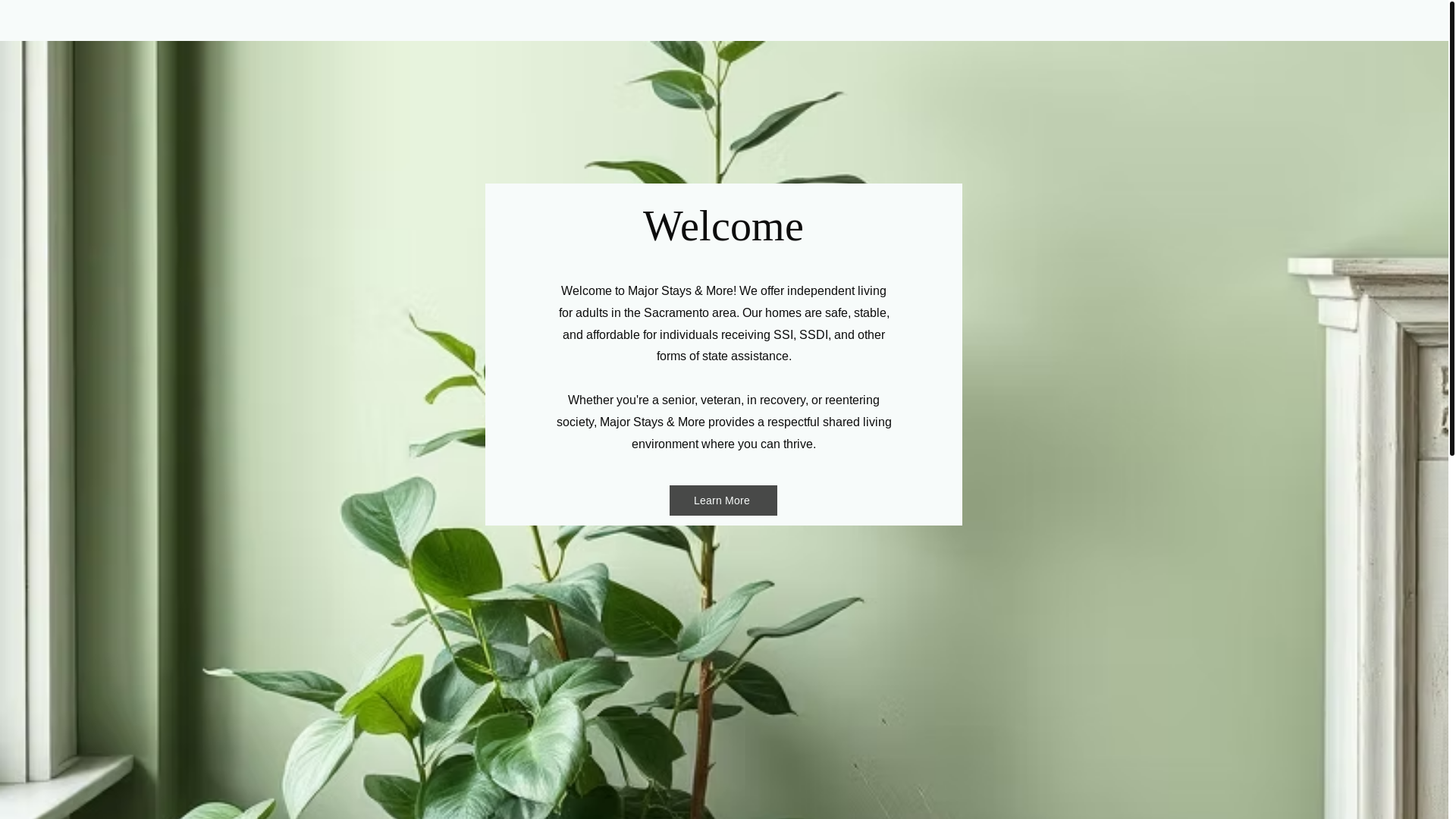 website screenshot of https://majorstaysandmore.com/