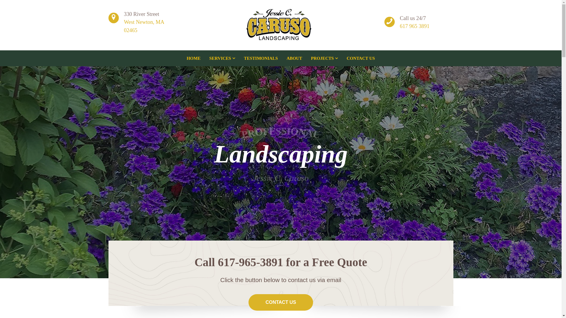 website screenshot of https://jesseccarusolandscaping.com/