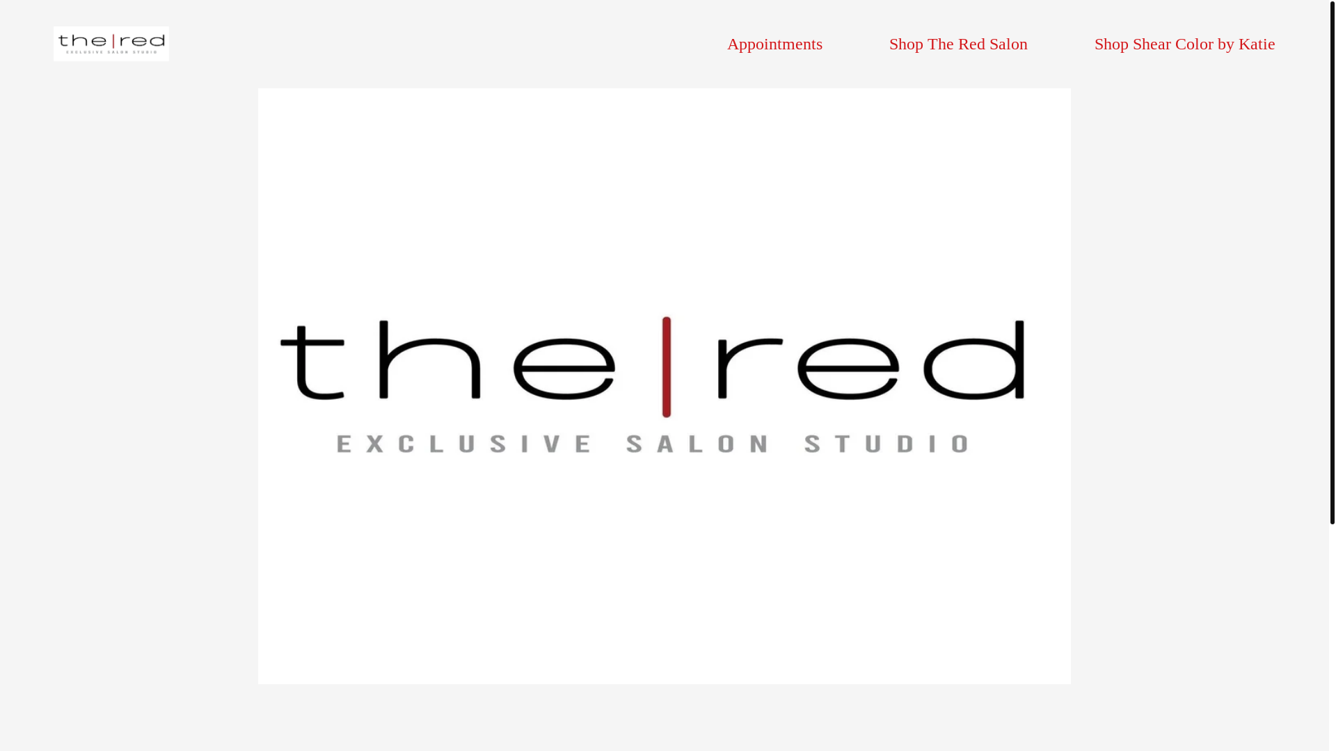 website screenshot of https://theredsalon.studio/