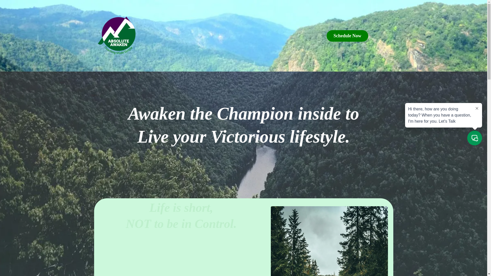 website screenshot of https://absolute-prayer.org/