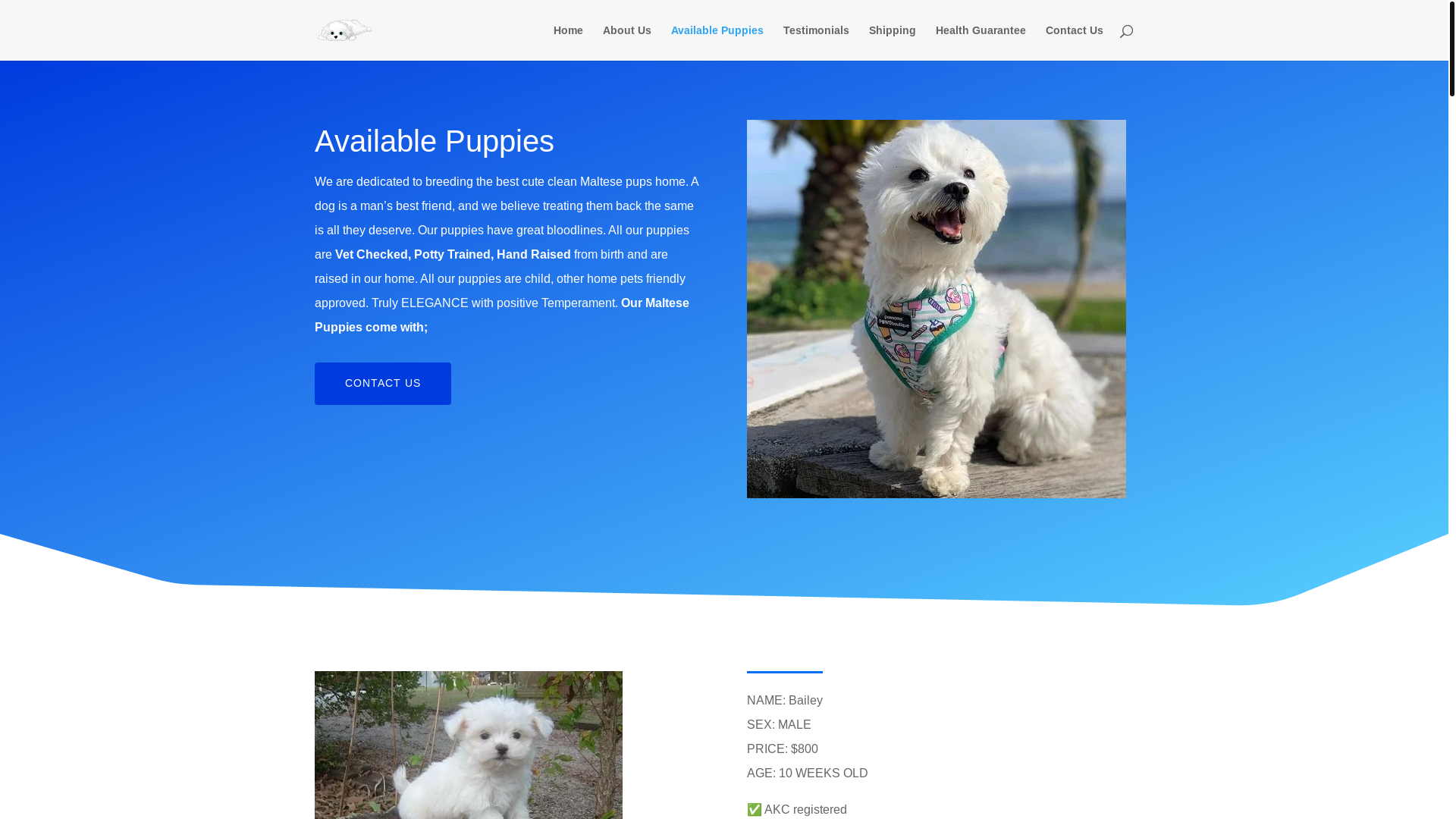 website screenshot of https://teacuppetshome.com/