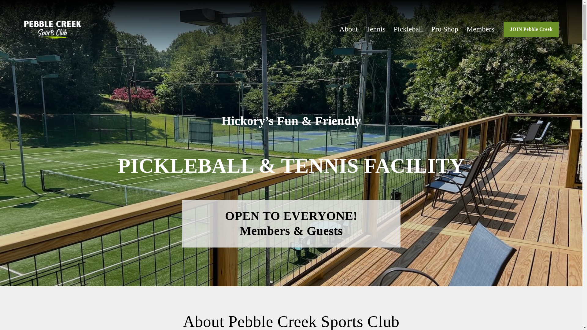 website screenshot of https://playpebblecreek.com/
