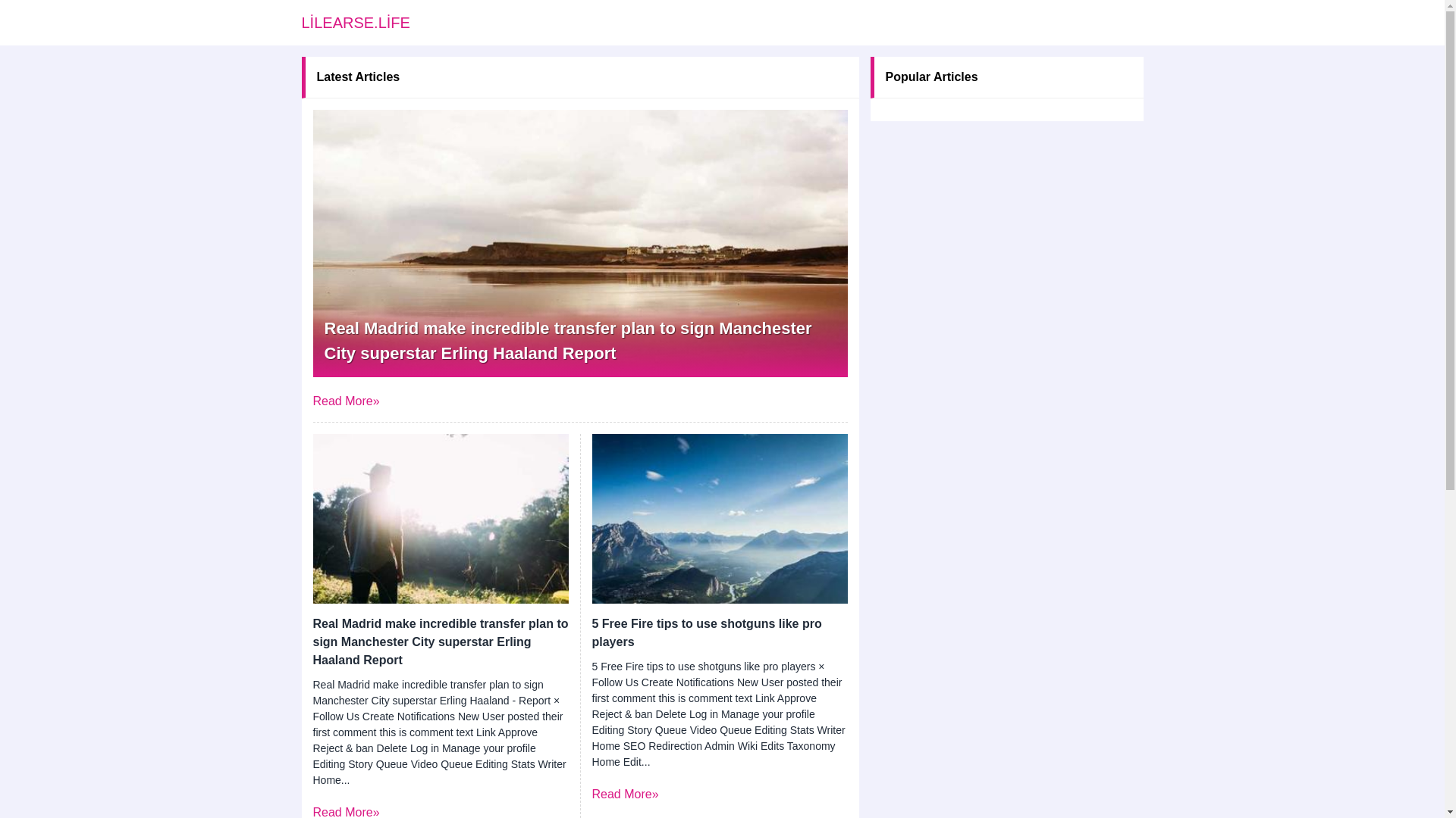 website screenshot of https://lilearse.life/