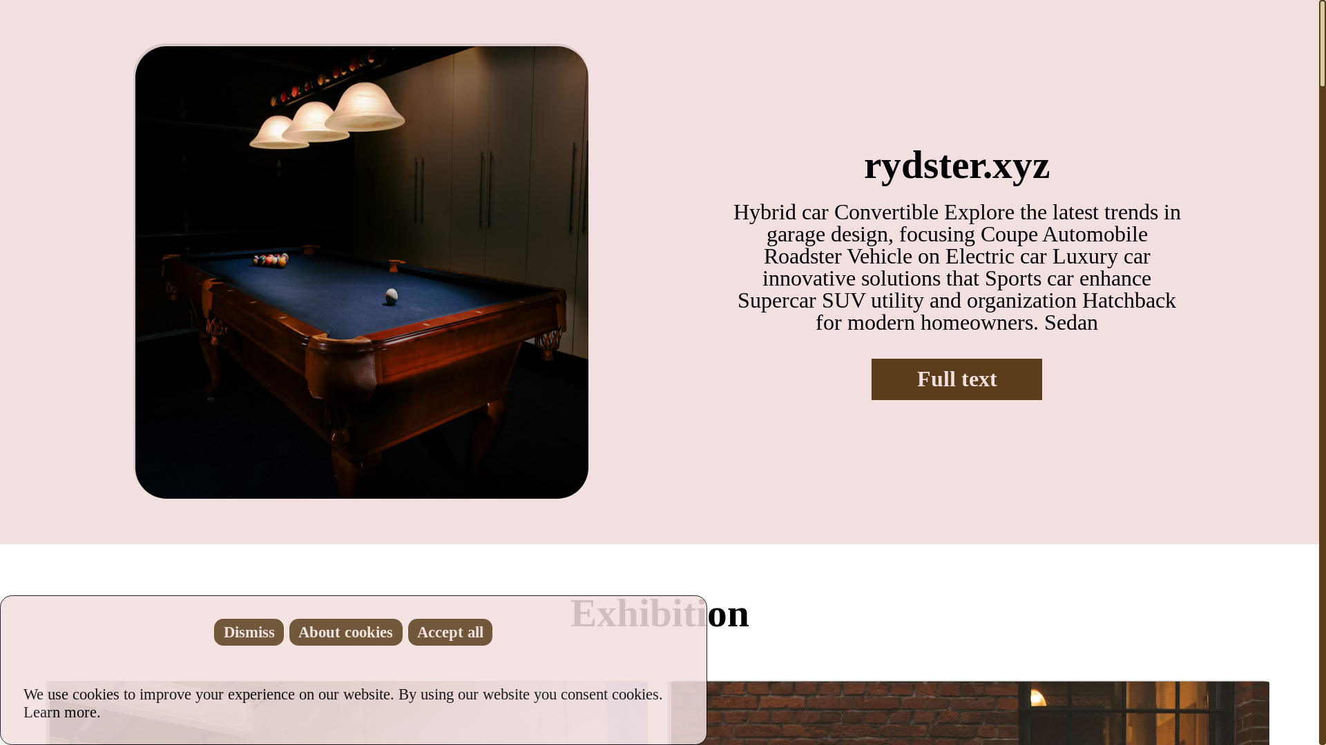 website screenshot of https://rydster.xyz/