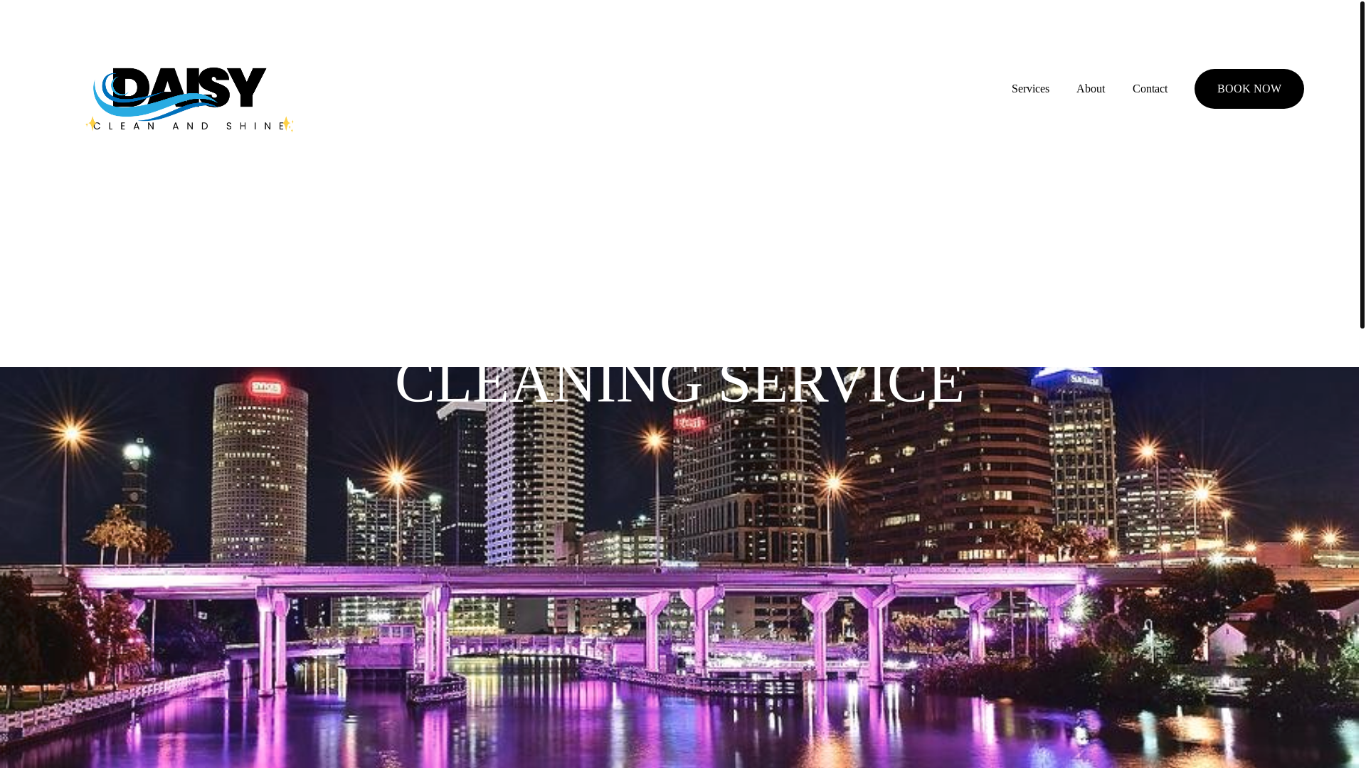 website screenshot of https://daisycleanshine.com/