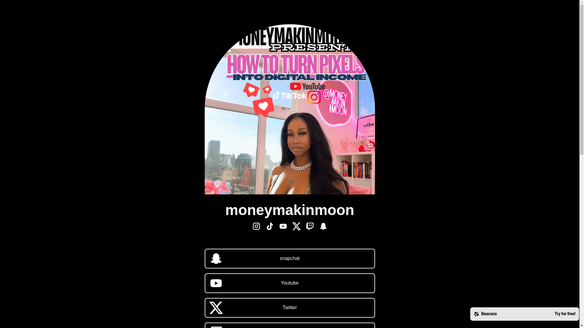 website screenshot of https://moneymakinmoon.com/