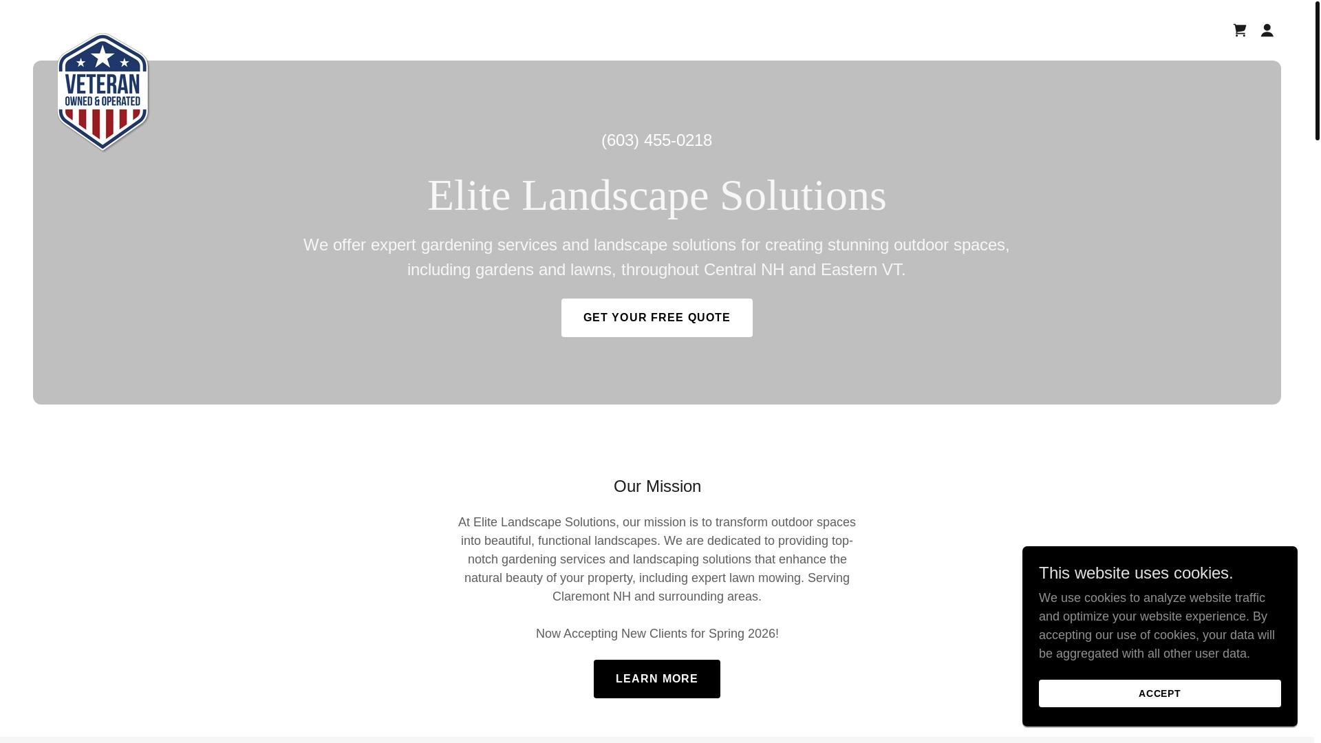 website screenshot of https://elitelandscapesolutionsnh.com/