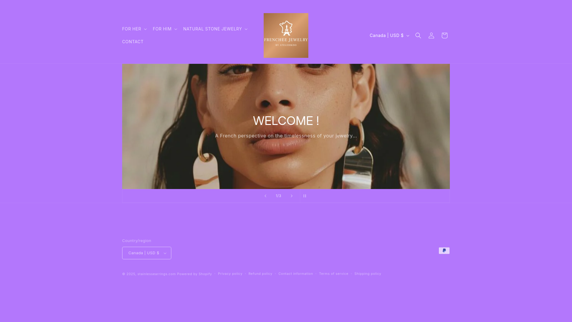 website screenshot of https://stainlessearrings.com/
