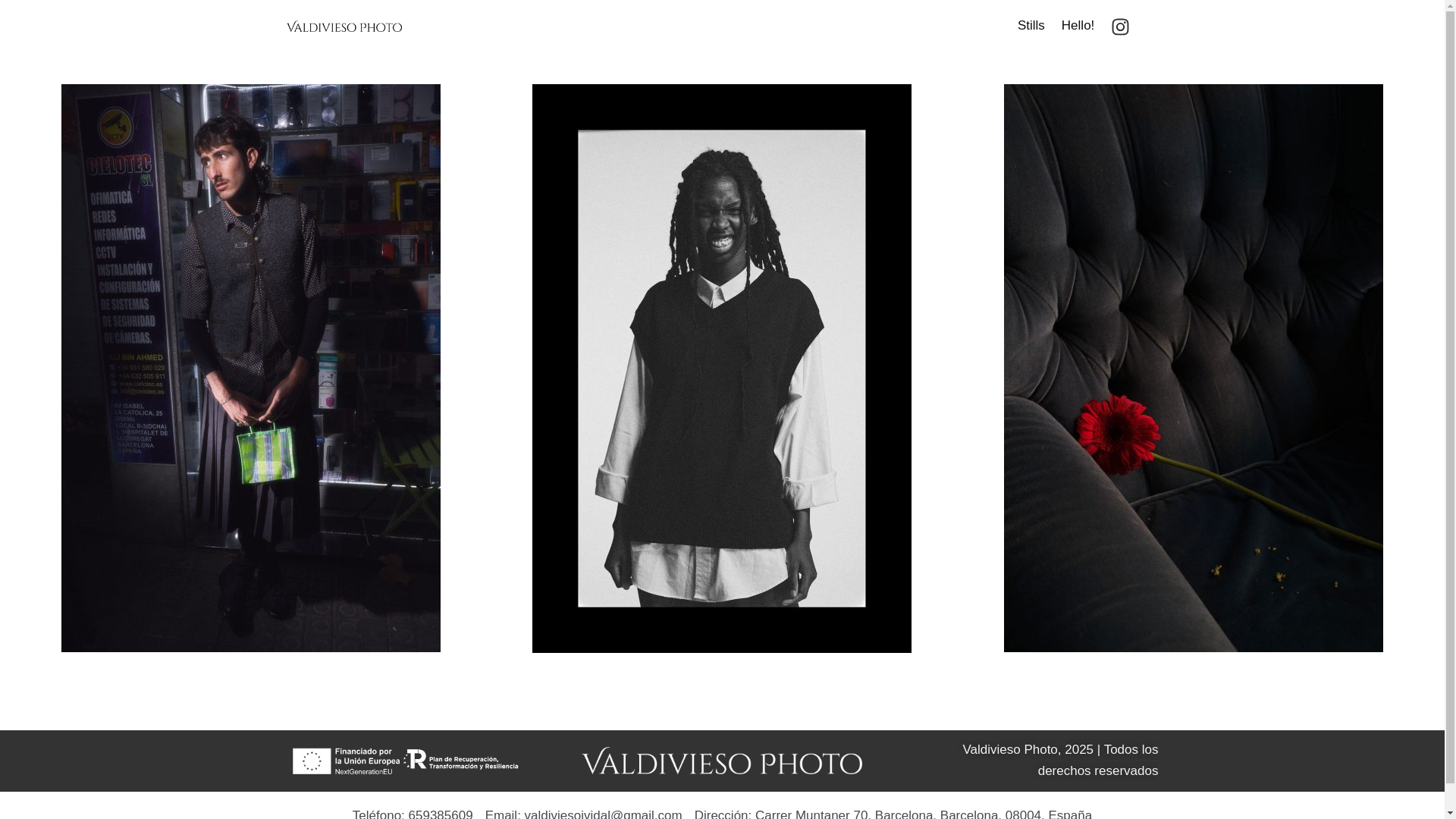 website screenshot of https://valdiviesofoto.com/