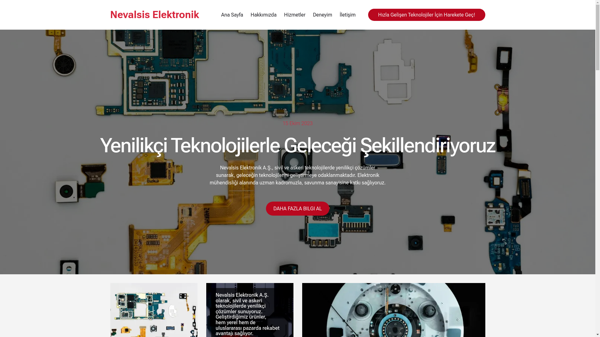 website screenshot of https://nevalsis.com/