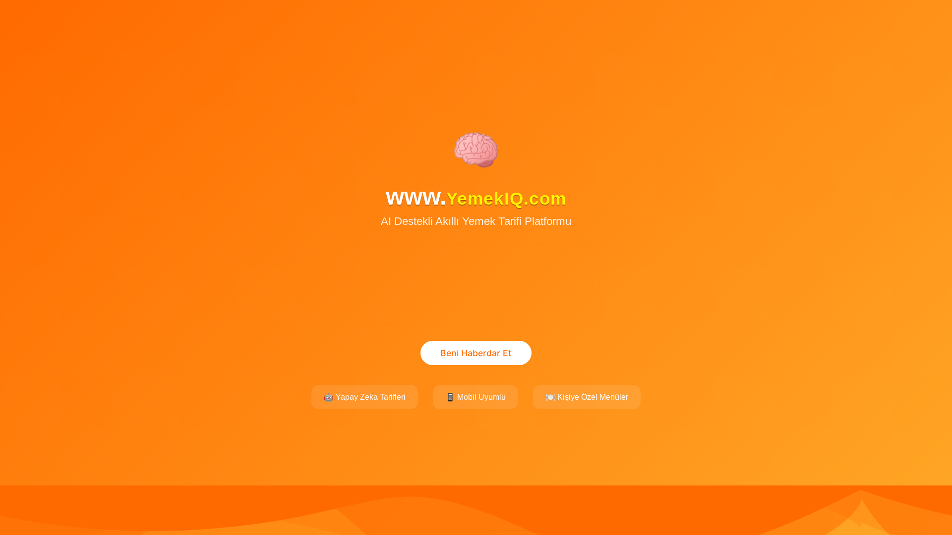 website screenshot of https://yemekiq.com/