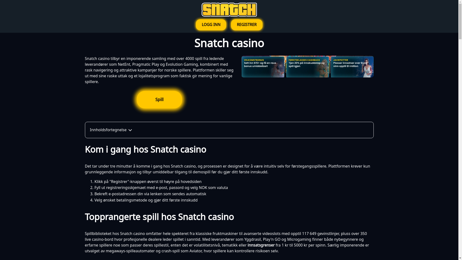 website screenshot of https://snatchcasino-no.net/