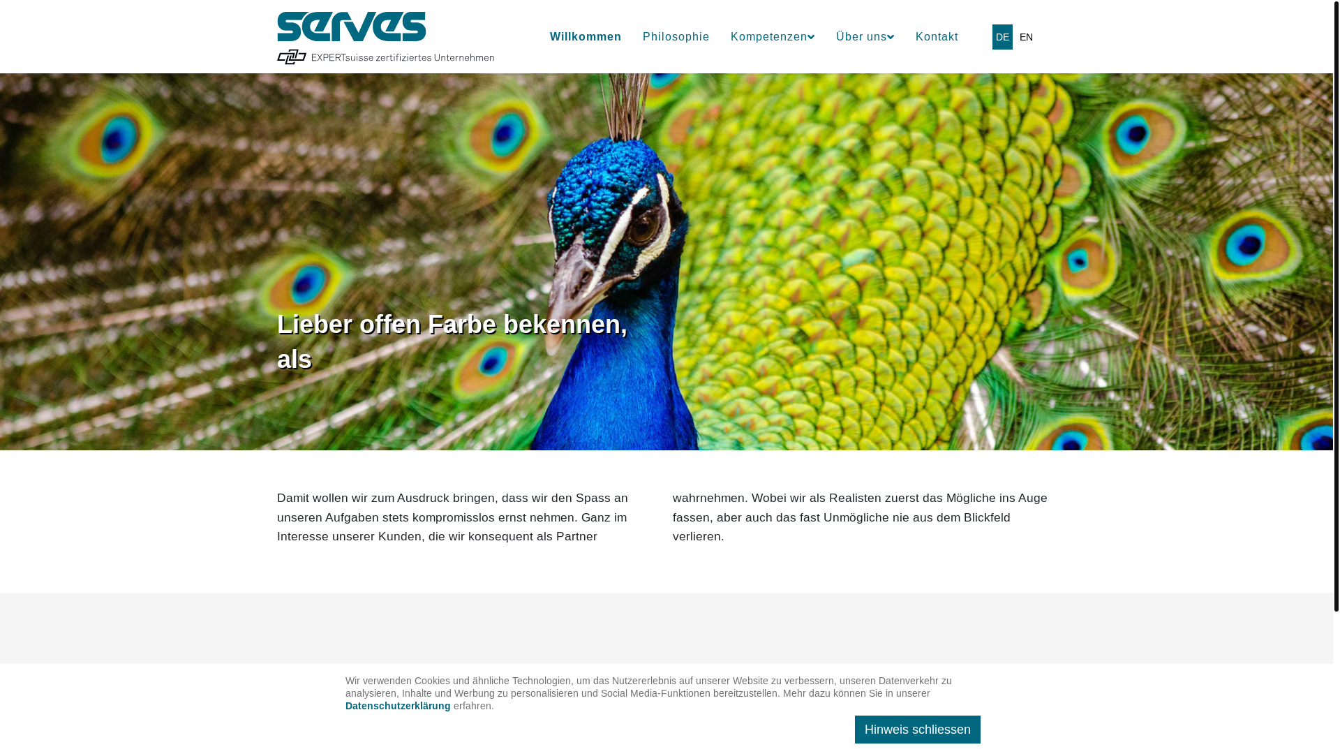 website screenshot of https://servesaudit.ch/