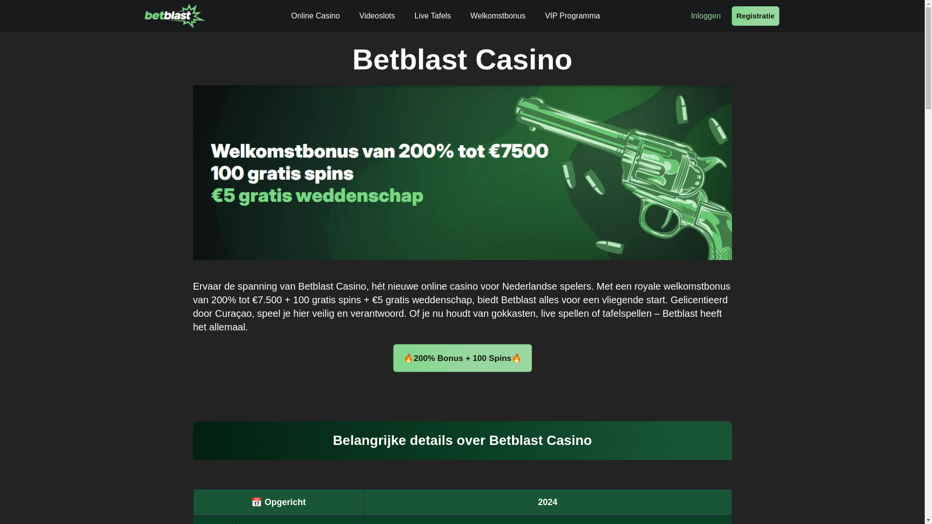 website screenshot of https://happystreets-nl-9821.pages.dev/