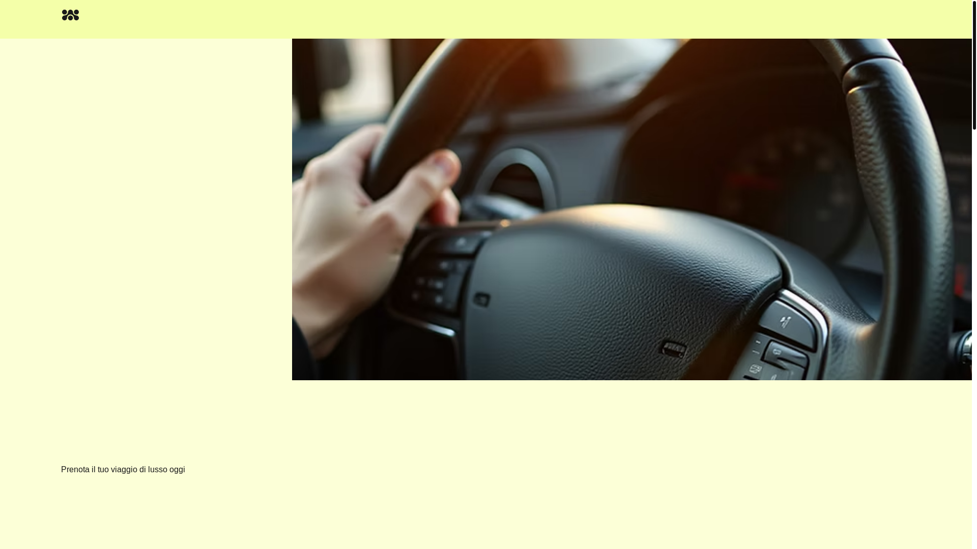 website screenshot of https://luxranferncc.com/