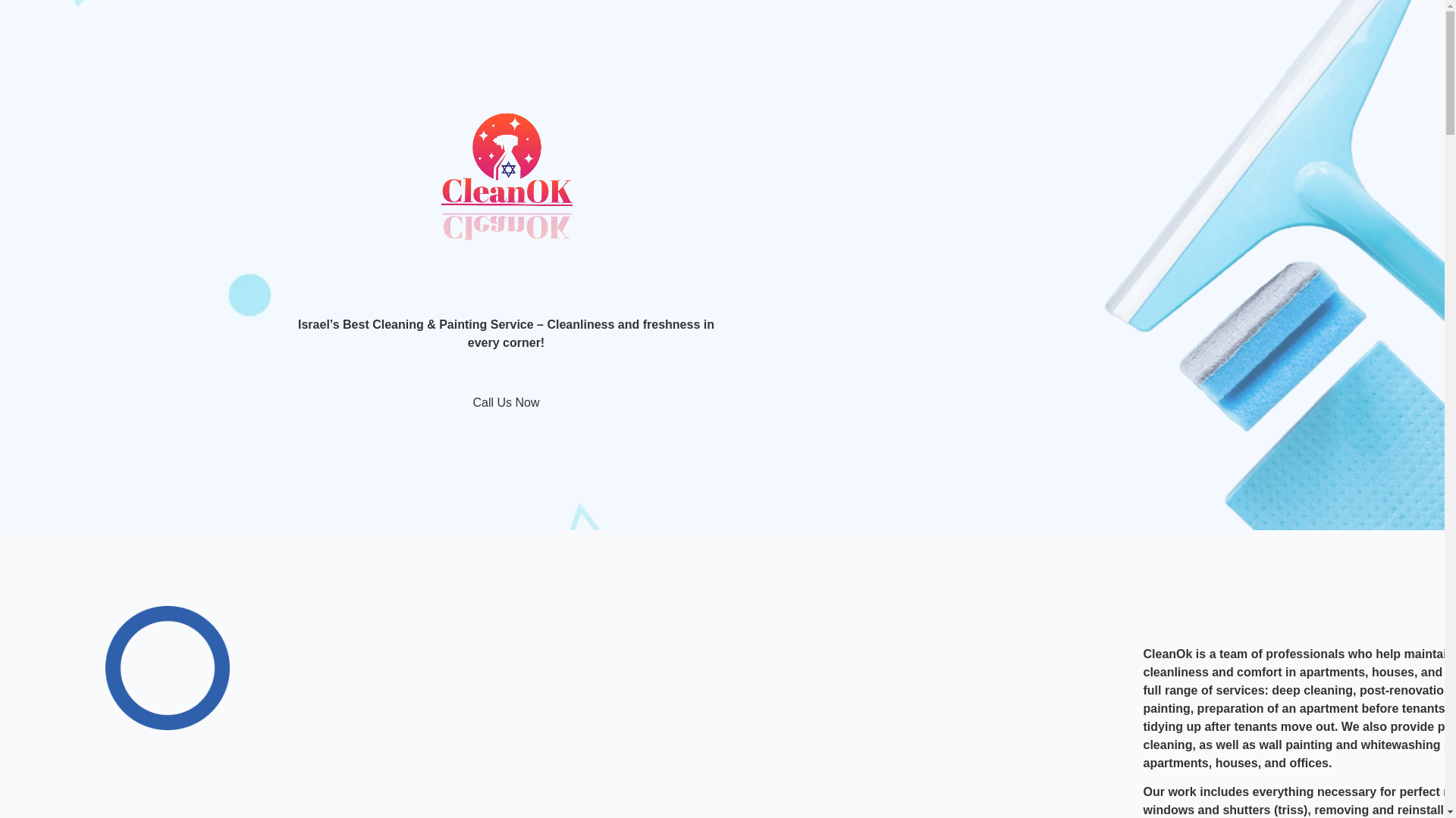 website screenshot of https://cleanok.co.il/