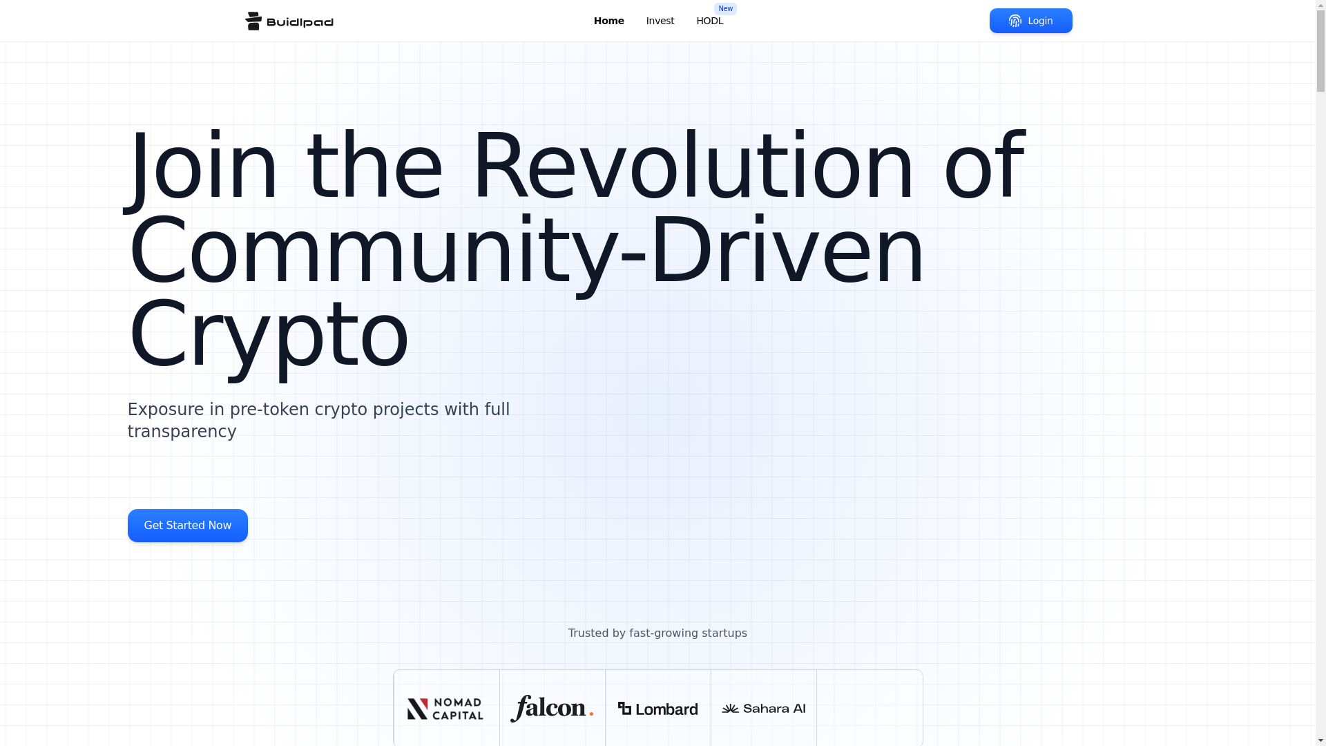 website screenshot of https://buidlpads.support/