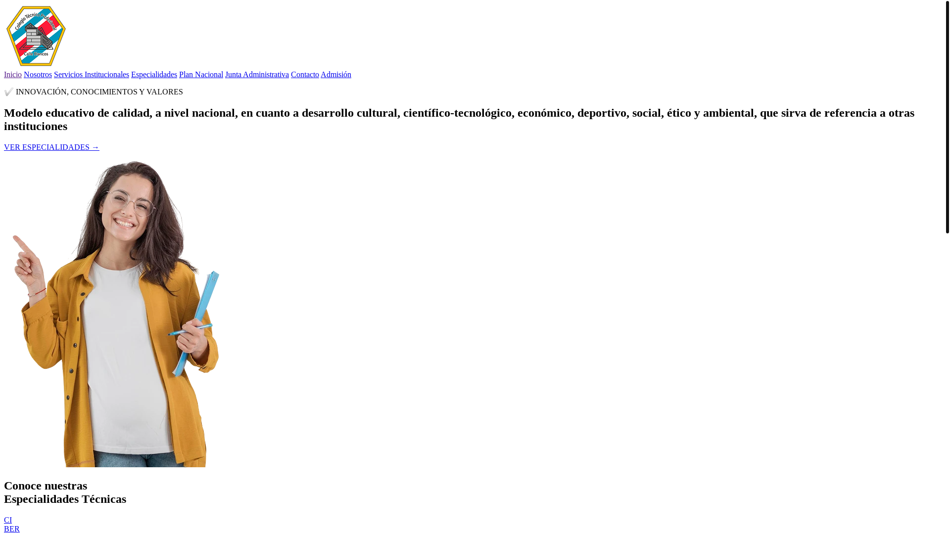 website screenshot of https://ctpcalleblancos.site/