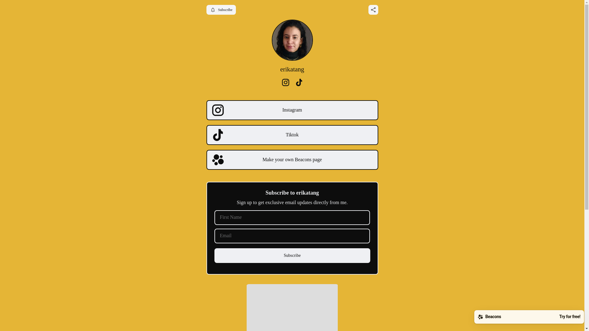 website screenshot of https://erikatang.info/