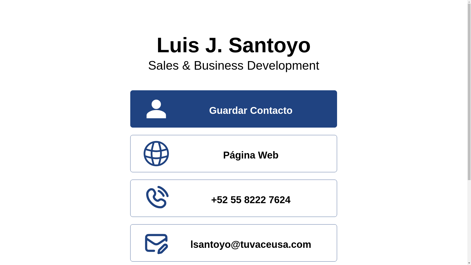 website screenshot of https://lsantoyo.pages.dev/