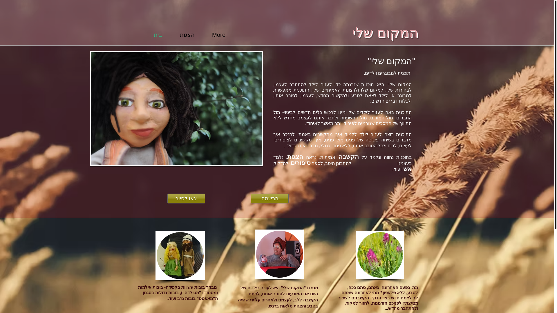 website screenshot of https://tamarspuppetshow.com/