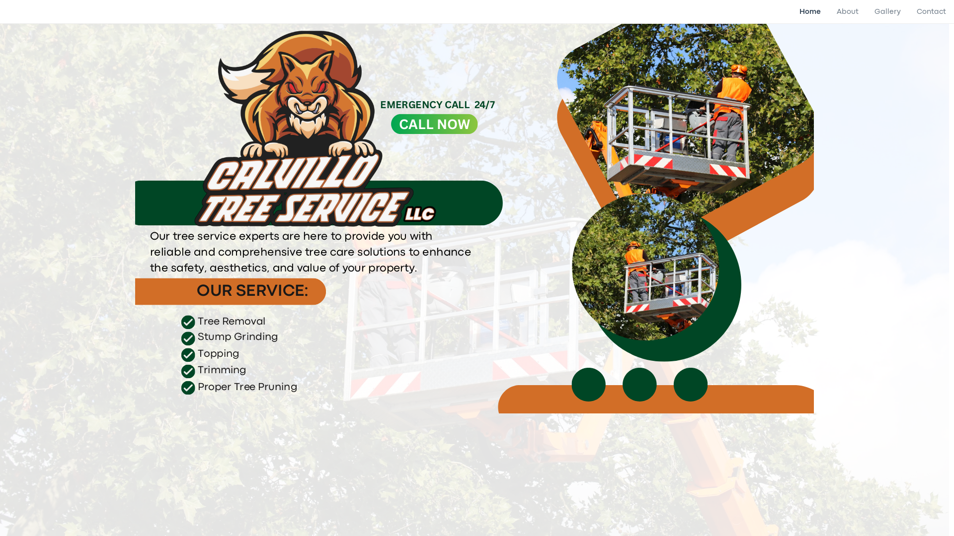 website screenshot of https://calvillotreeservicellc.com/