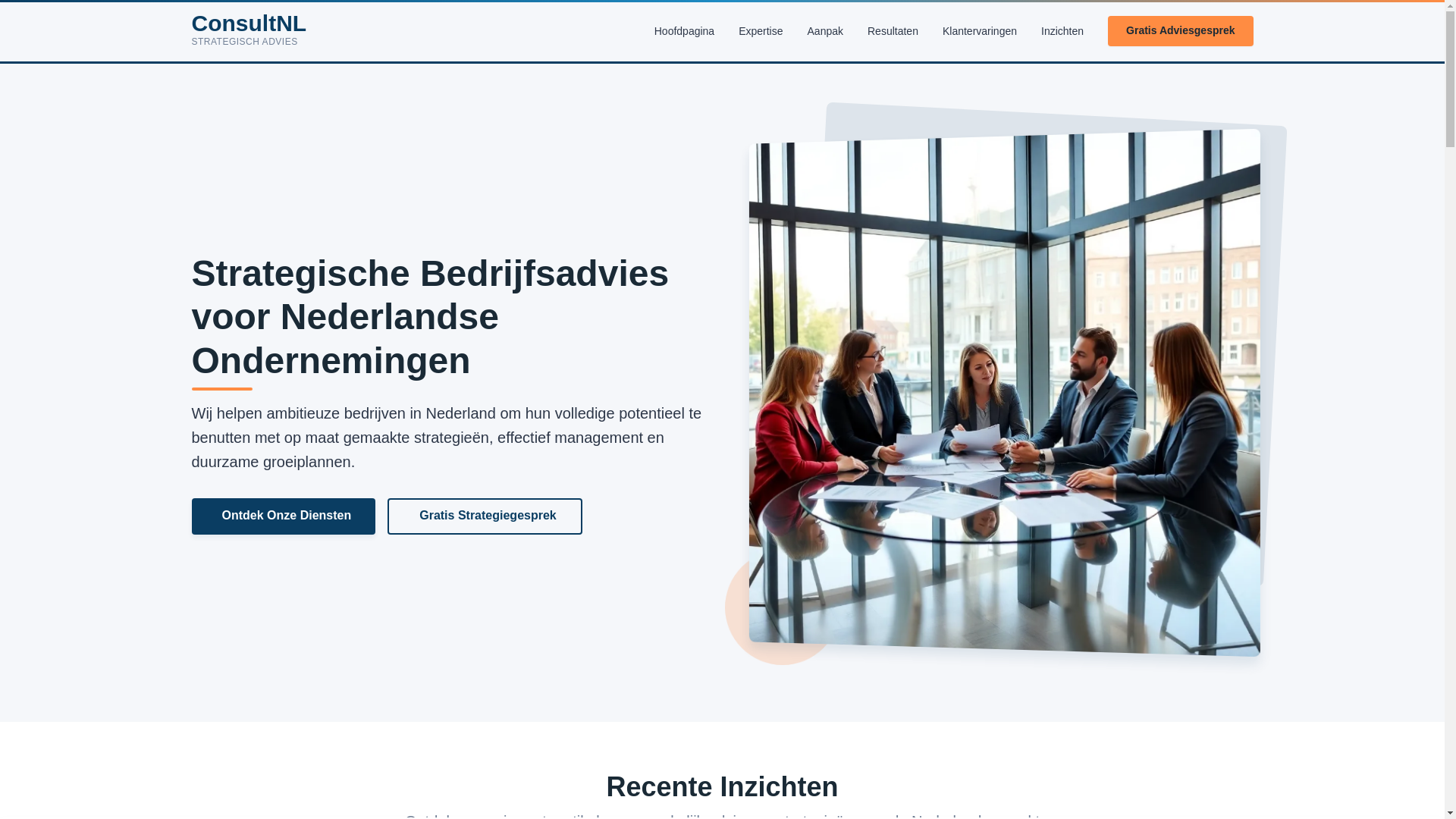 website screenshot of https://consult-nl.com/
