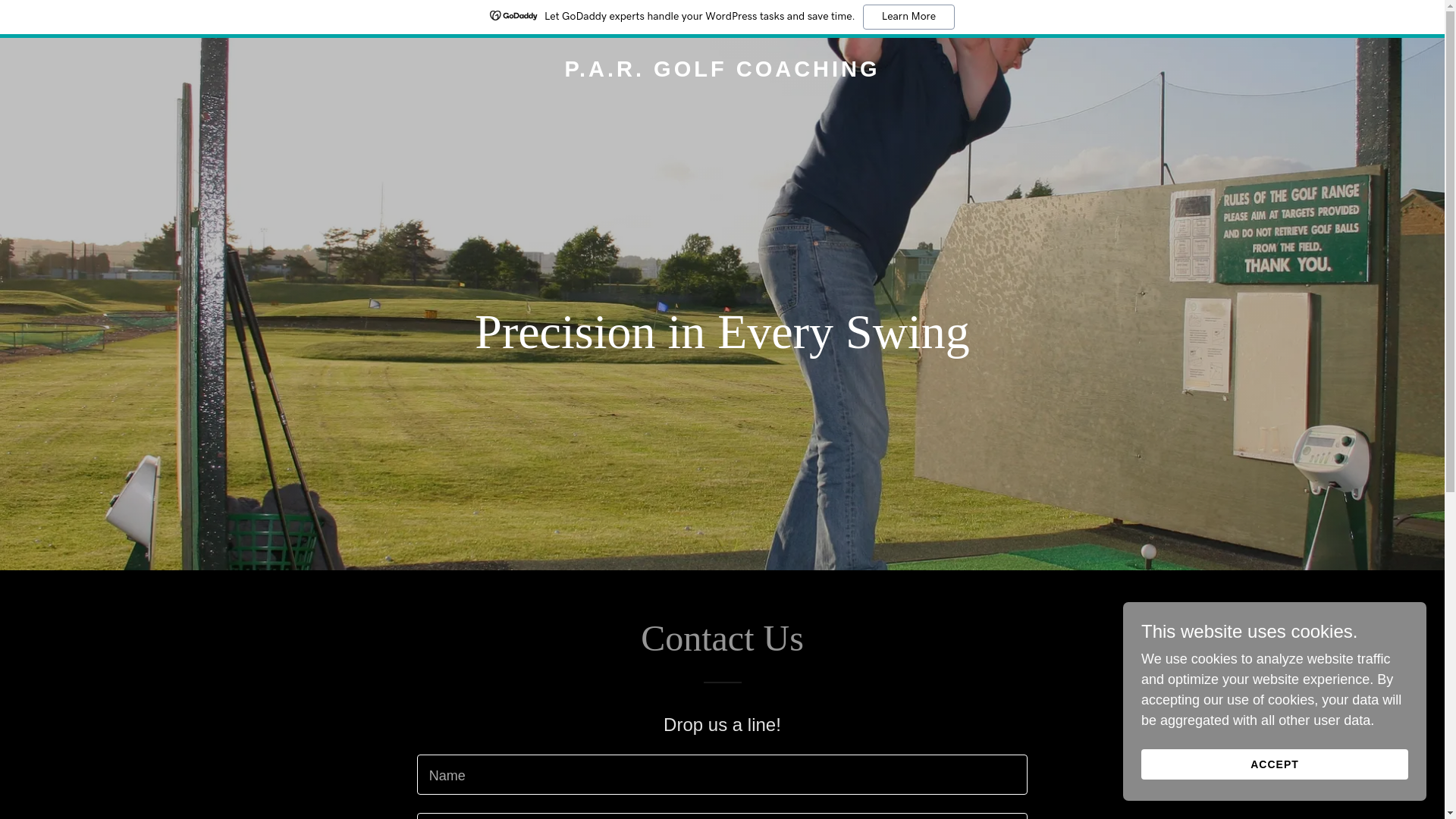 website screenshot of https://precisionaccuracyresults.com/
